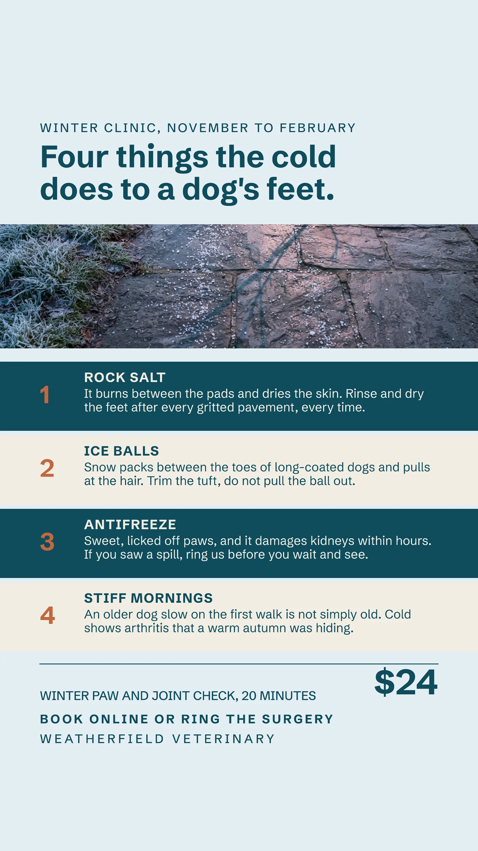 Ice Blue Teal Numbered Panels Veterinary Winter Paw Check Instagram Story — 9:16 Instagram story template