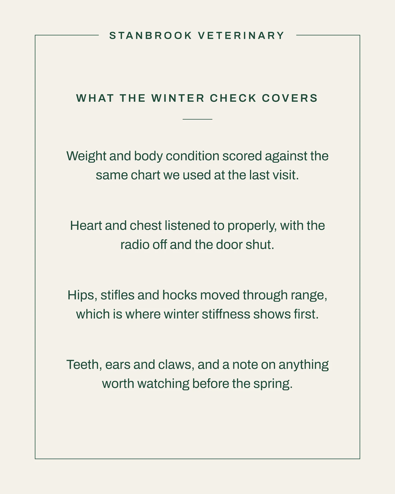 Offwhite Pine Outlined Box Veterinary Winter Check Facebook Carousel — 4-panel Facebook carousel carousel template, page 2 of 4