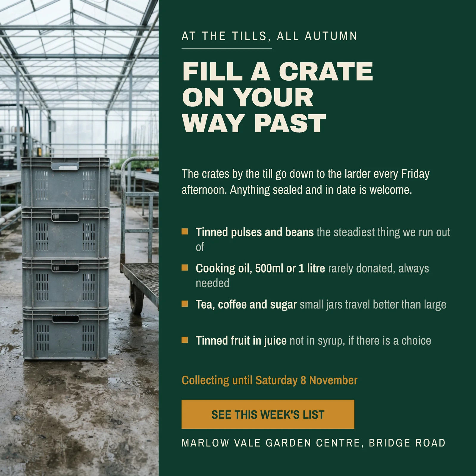 Bottle Green Ochre Left Photo Column Garden Centre Till Crate Instagram Ad — 1:1 Instagram ad template