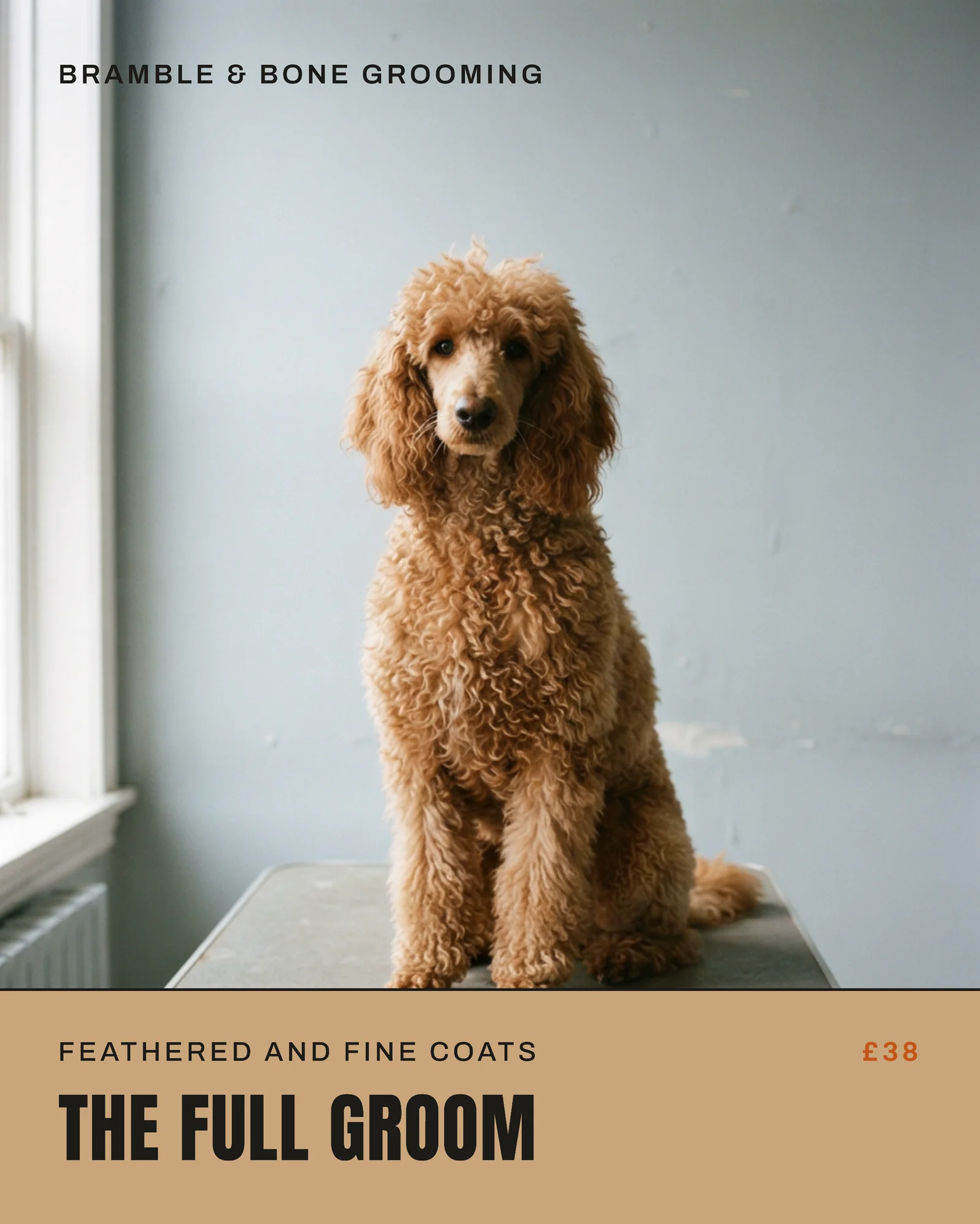 Kraft Ink Caption Bar Dog Grooming Black Friday Coat Facebook Carousel — 5-panel Facebook carousel carousel template, page 3 of 5