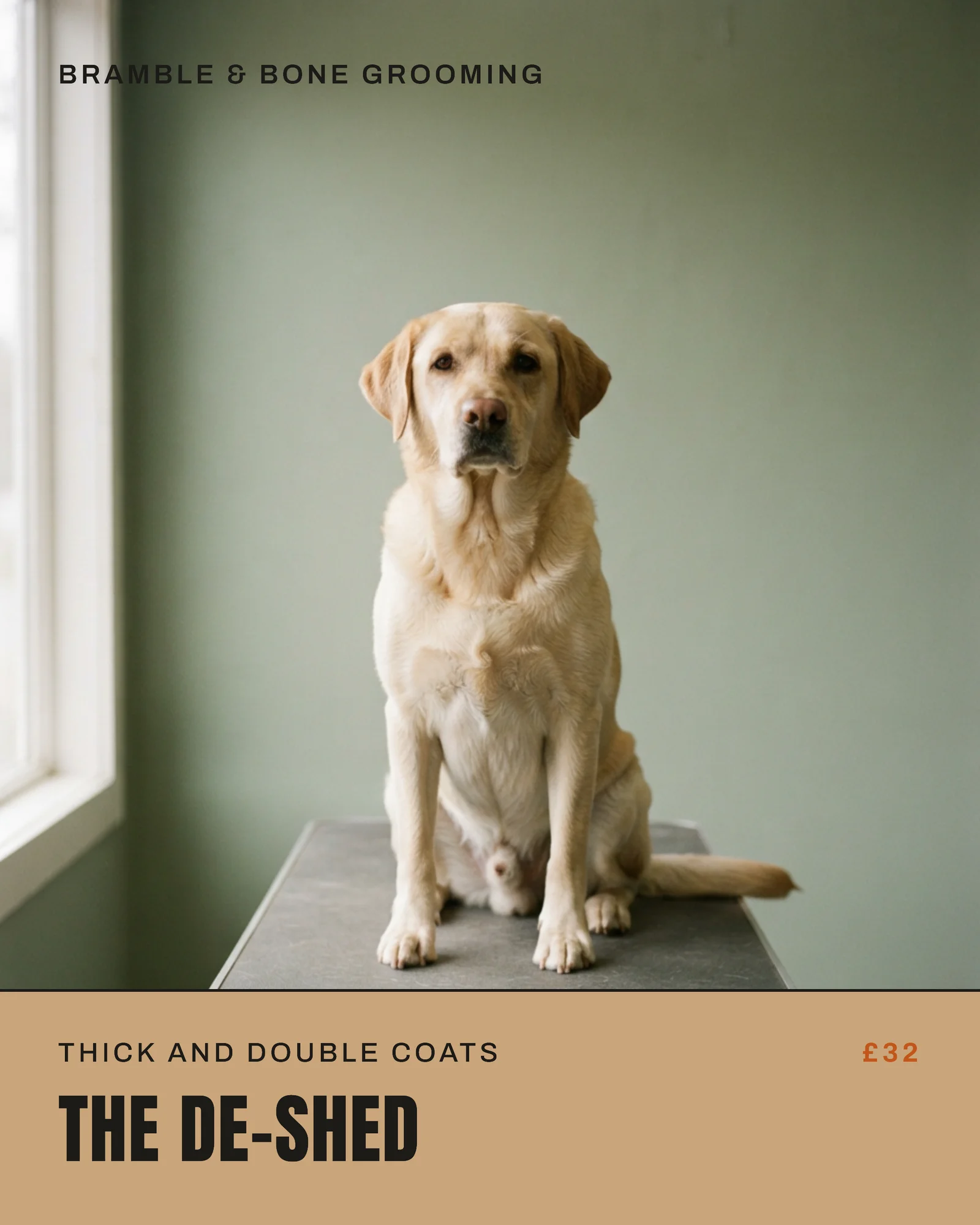 Kraft Ink Caption Bar Dog Grooming Black Friday Coat Facebook Carousel — 5-panel Facebook carousel carousel template, page 4 of 5