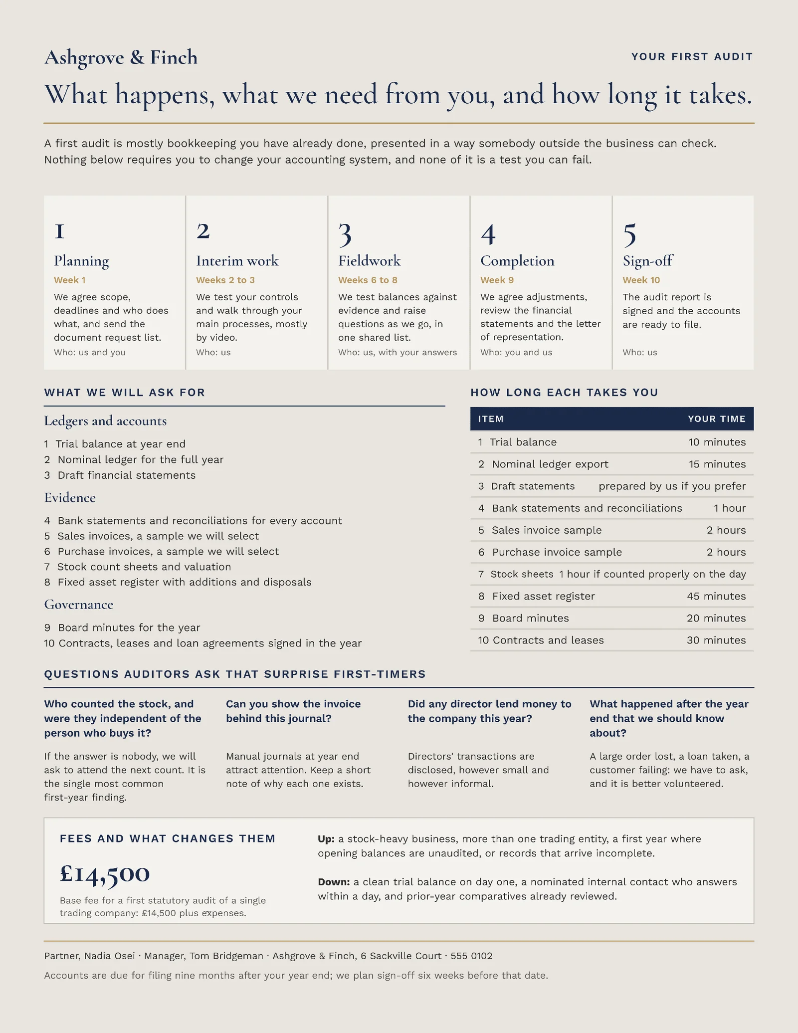 Stone Navy Process Stages First Audit Guide One Pager — Letter One pager template