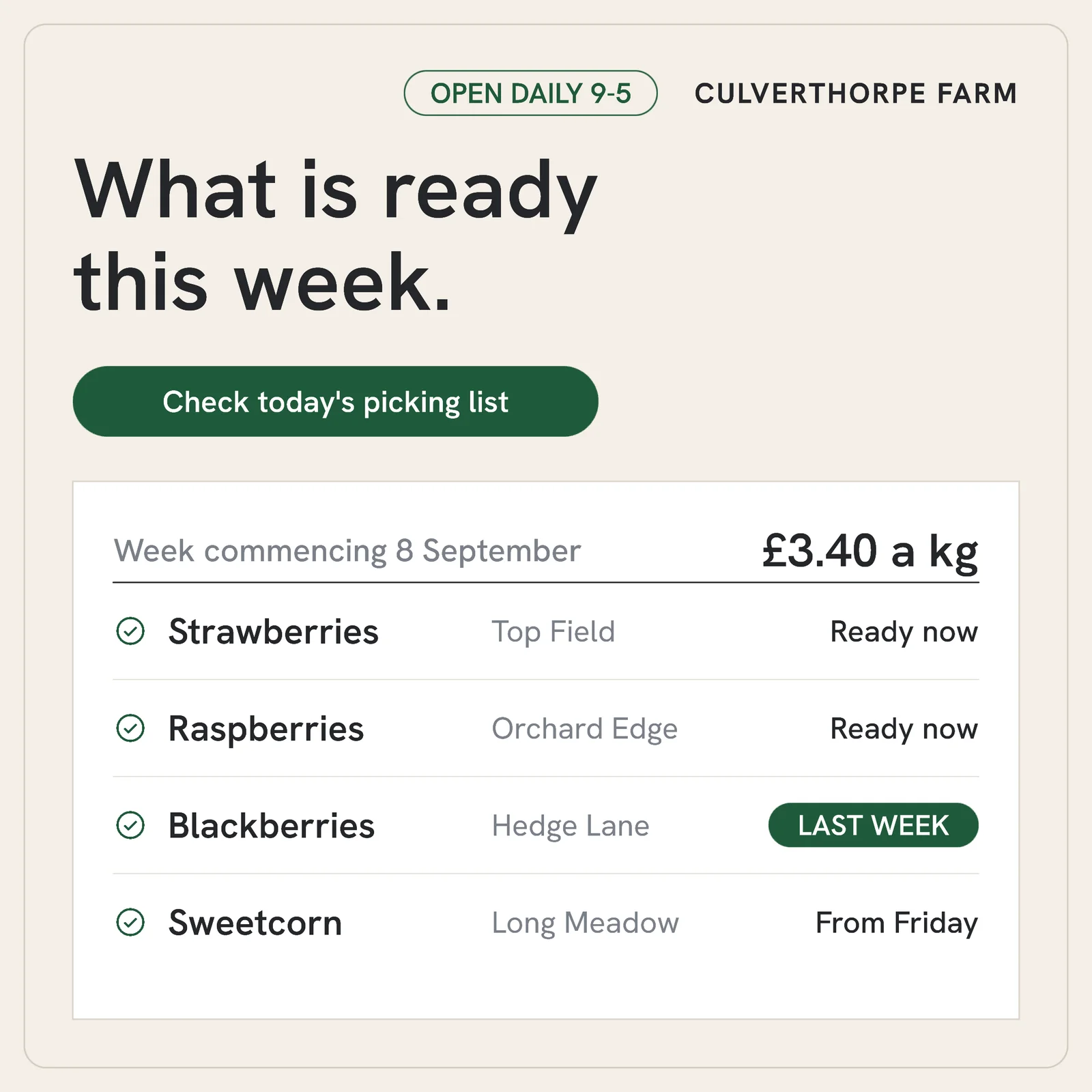 Picking list with price — 1:1 Instagram ad template