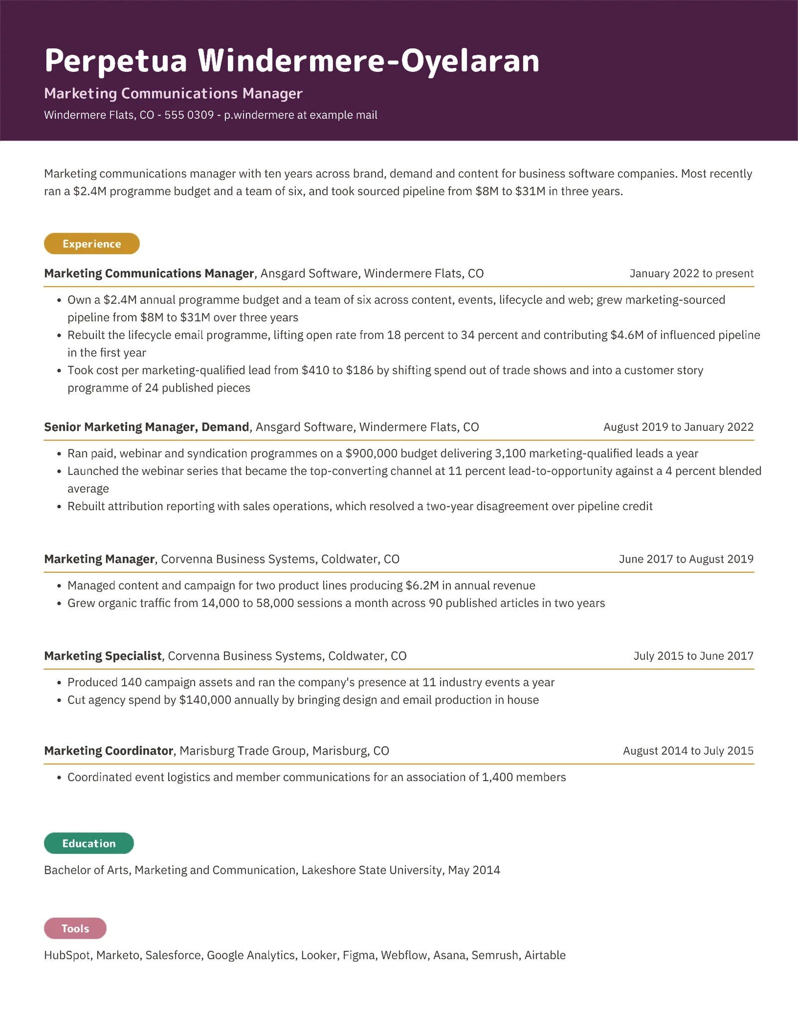 Chronological Marketing Resume — Letter Resume template