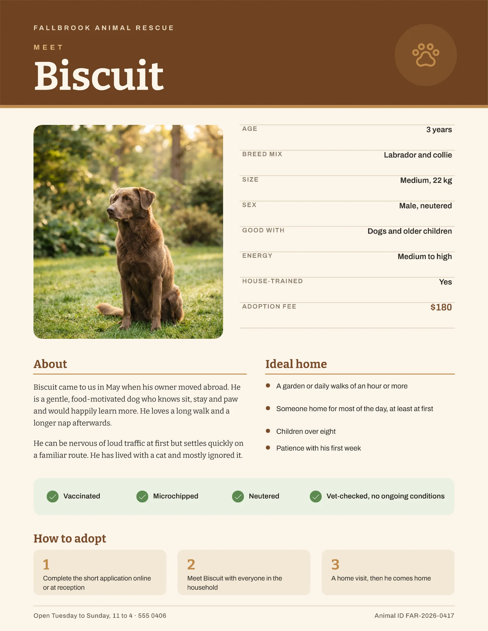 Warm Profile Shelter Adoption Sheet — Letter One pager template