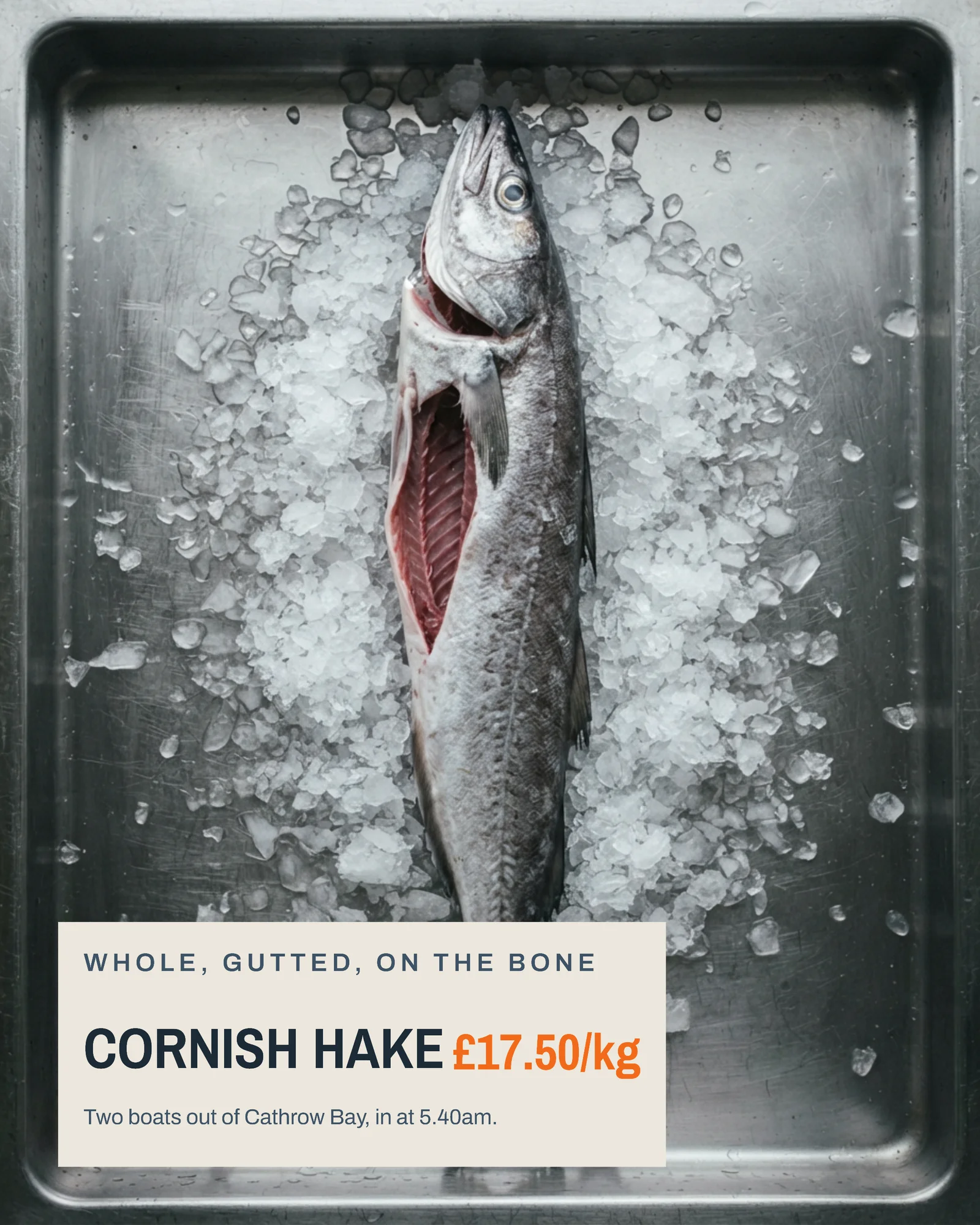 Day Boat Fishmonger Slab Cards Facebook Carousel — 5-panel Instagram carousel carousel template, page 2 of 5