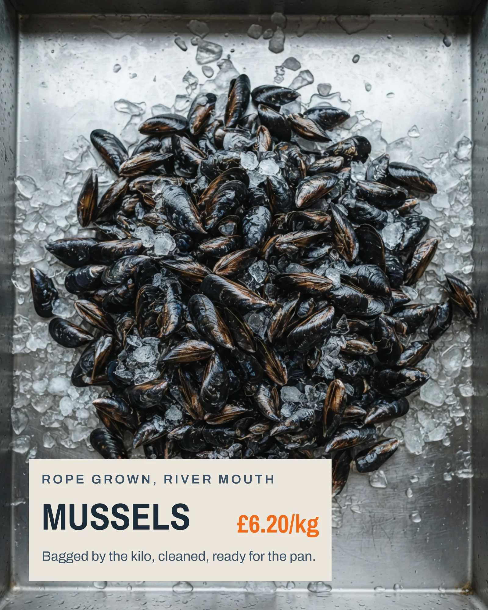 Day Boat Fishmonger Slab Cards Facebook Carousel — 5-panel Instagram carousel carousel template, page 4 of 5