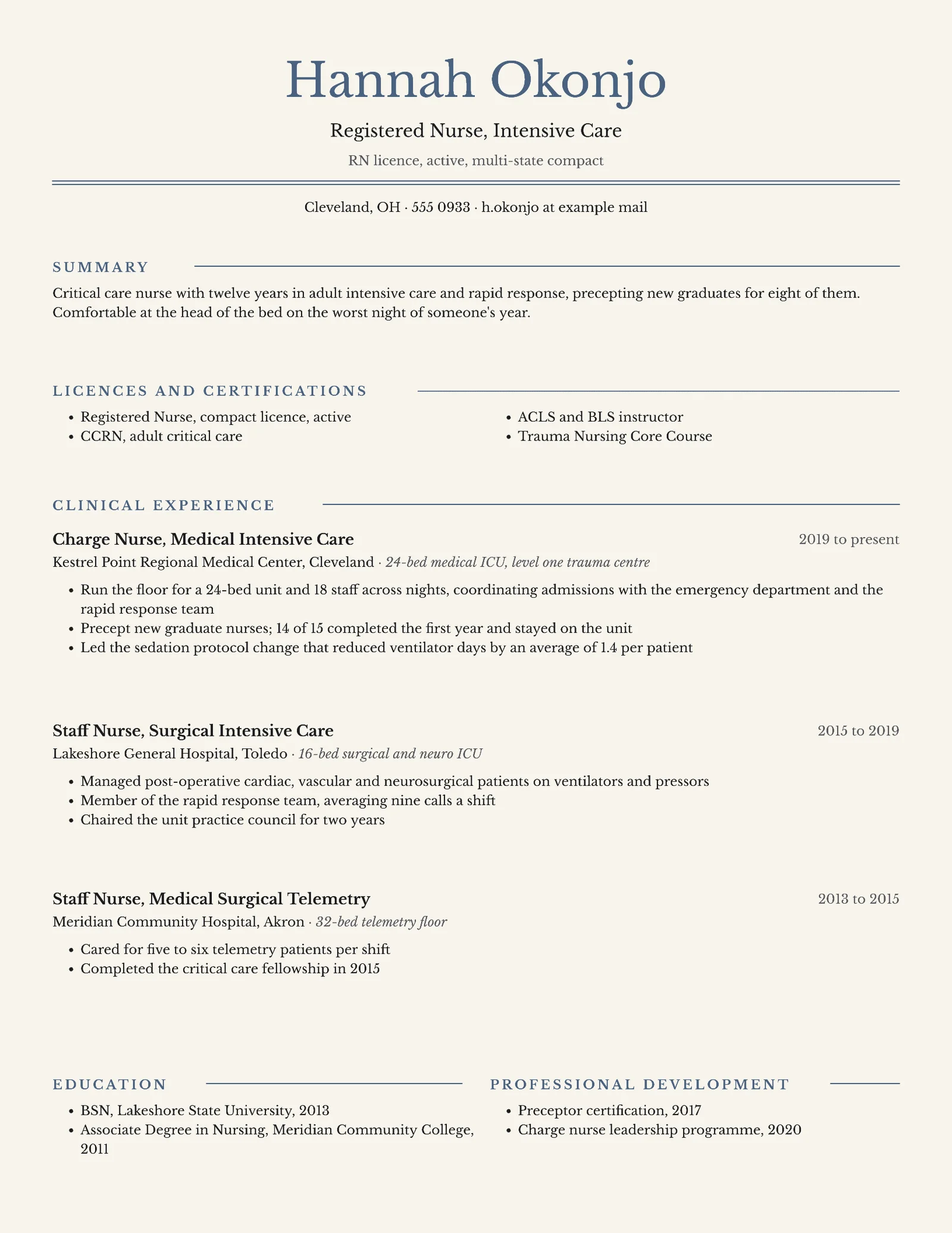 Slate Professional Intensive Care Nurse Resume — 2-page Resume template, page 1 of 2