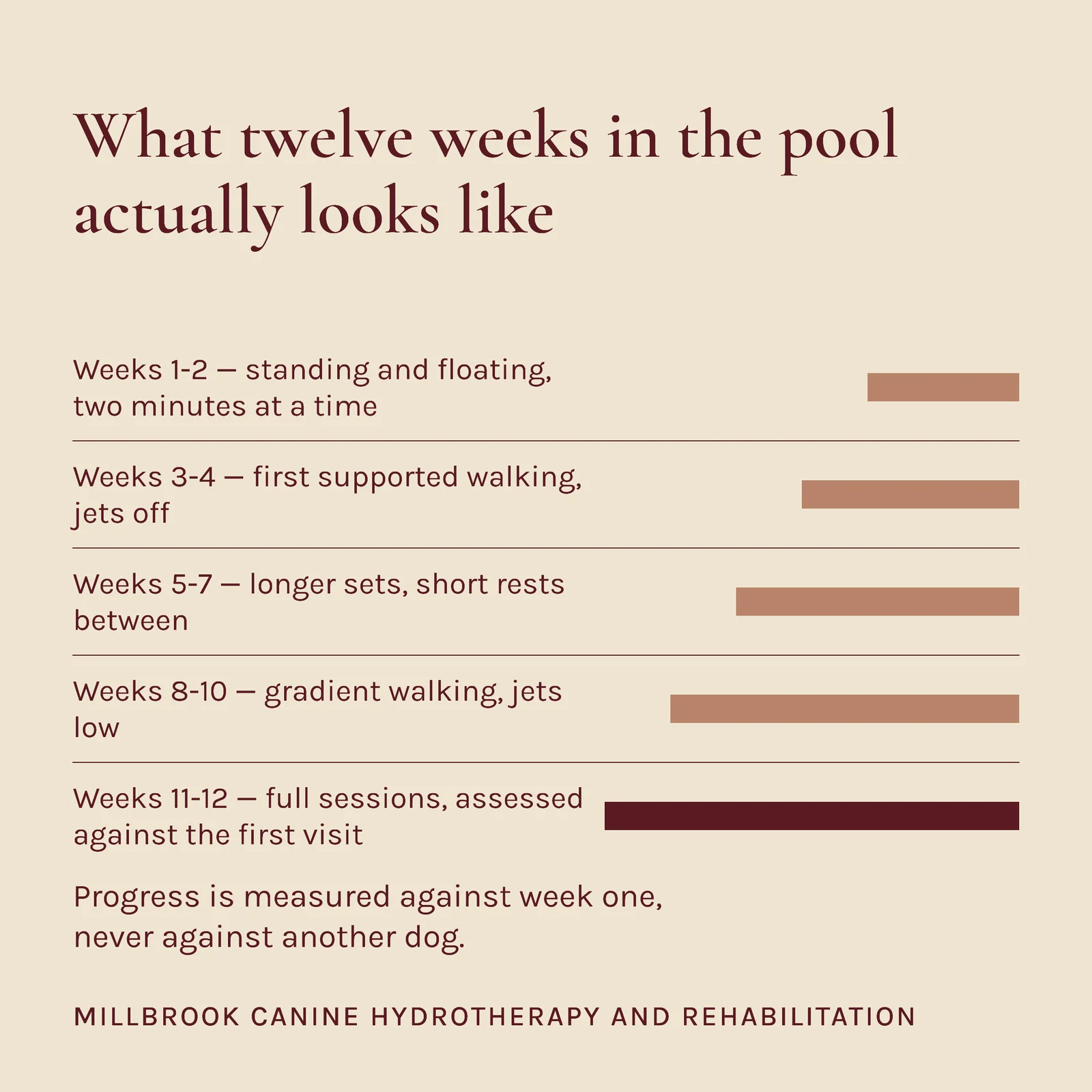 Canine Hydrotherapy Recovery Stages Facebook Post — 1:1 Facebook post template