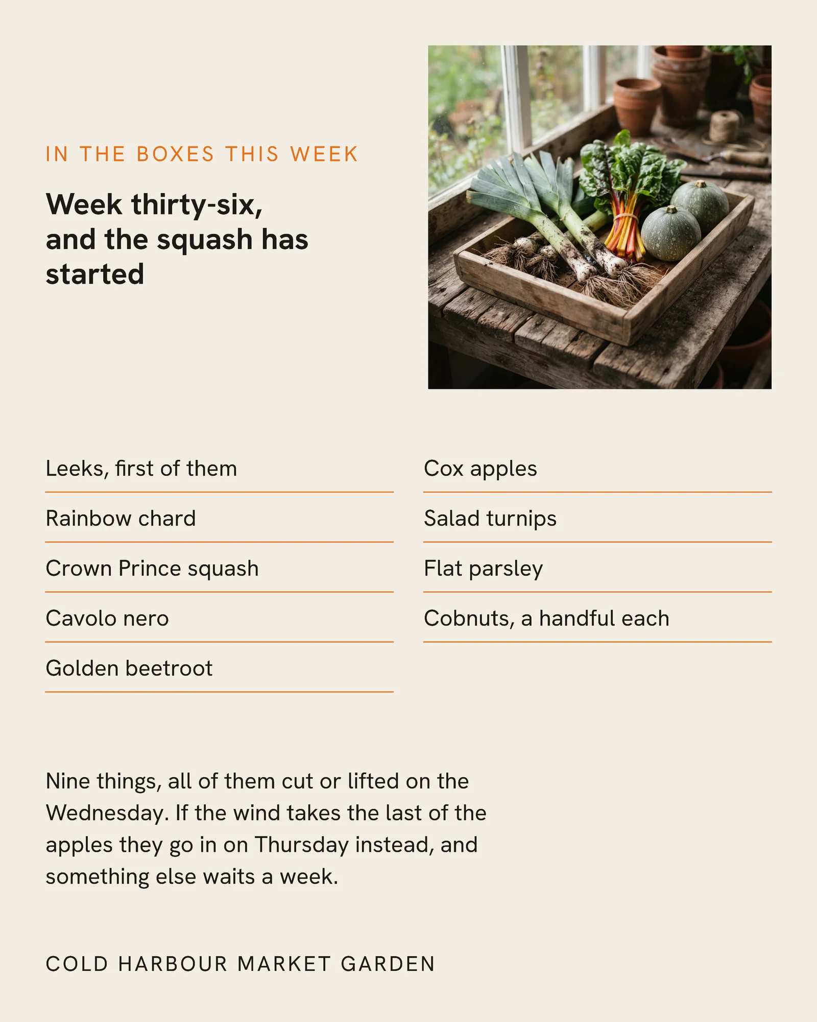 Chalk Two Column Market Garden Box Instagram Post — 4:5 Instagram post template