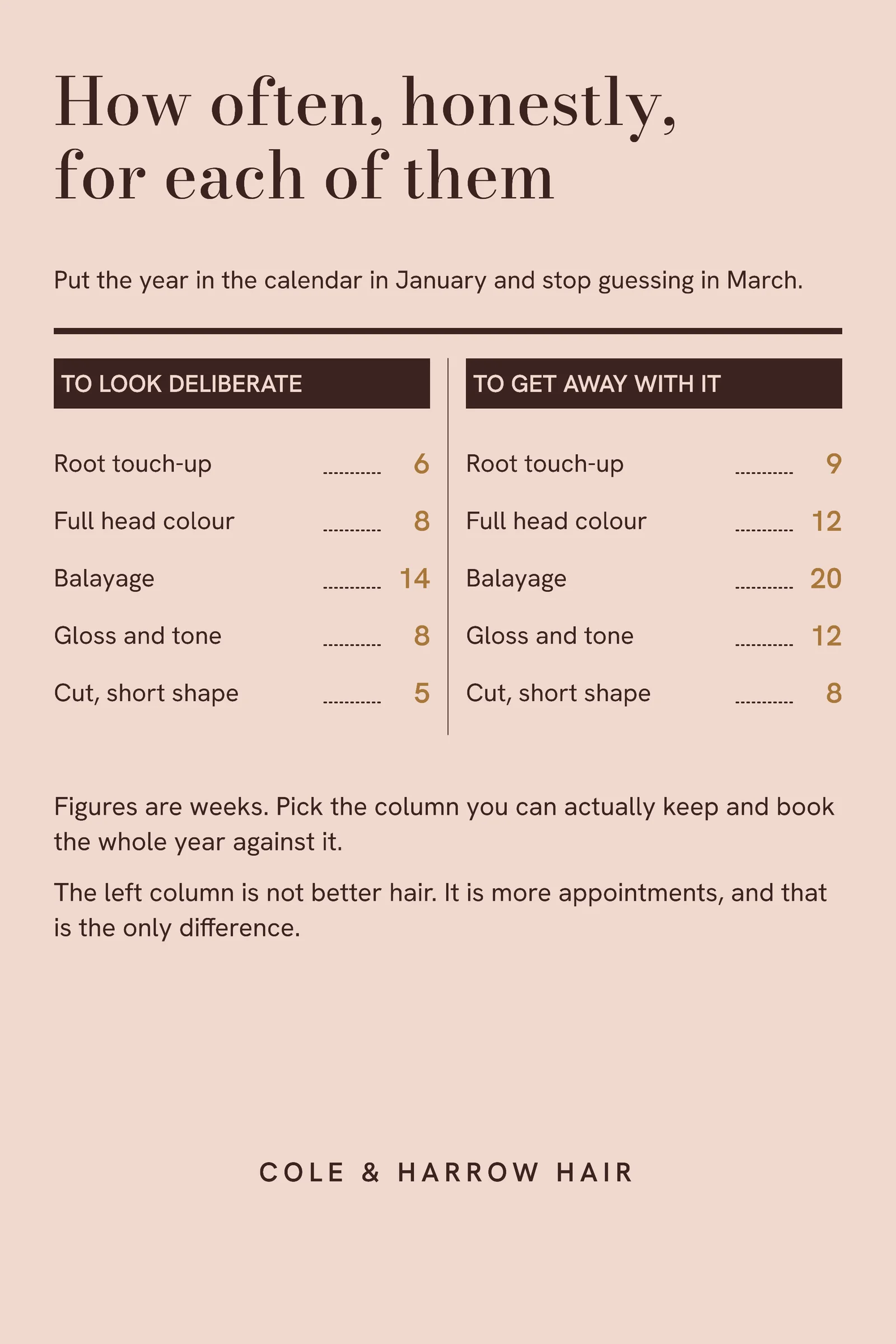 Blush Espresso Interval Columns Hair Salon New Year Colour Plan Pin — 2:3 Pinterest pin template