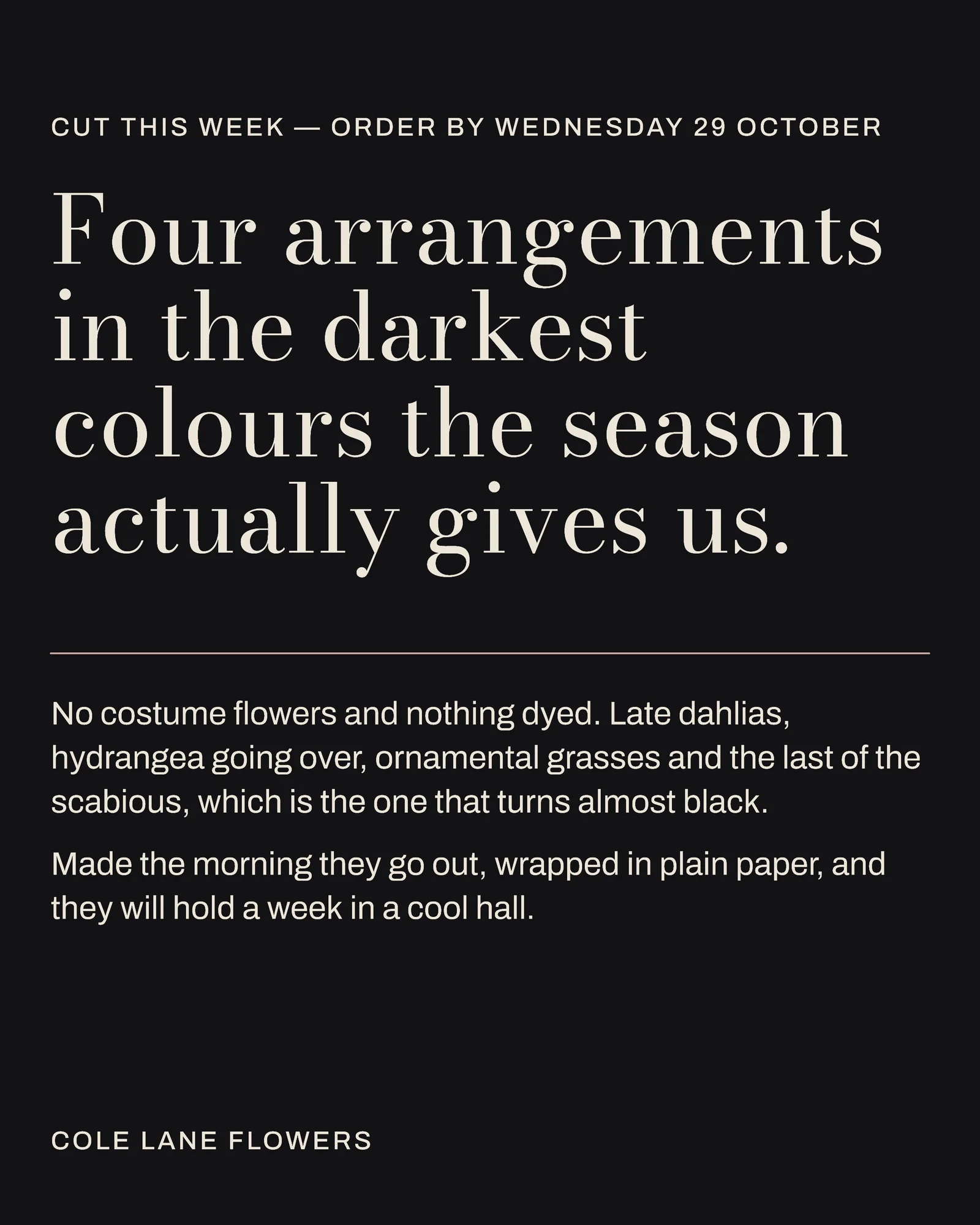 Ink Lookbook Plates Florist Halloween Arrangements Instagram Carousel — 6-panel Instagram carousel carousel template, page 1 of 6