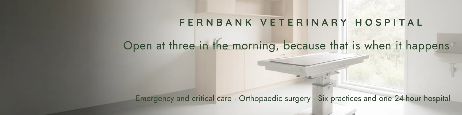Sage Full Bleed Veterinary Hospital LinkedIn Banner — 4:1 LinkedIn banner template
