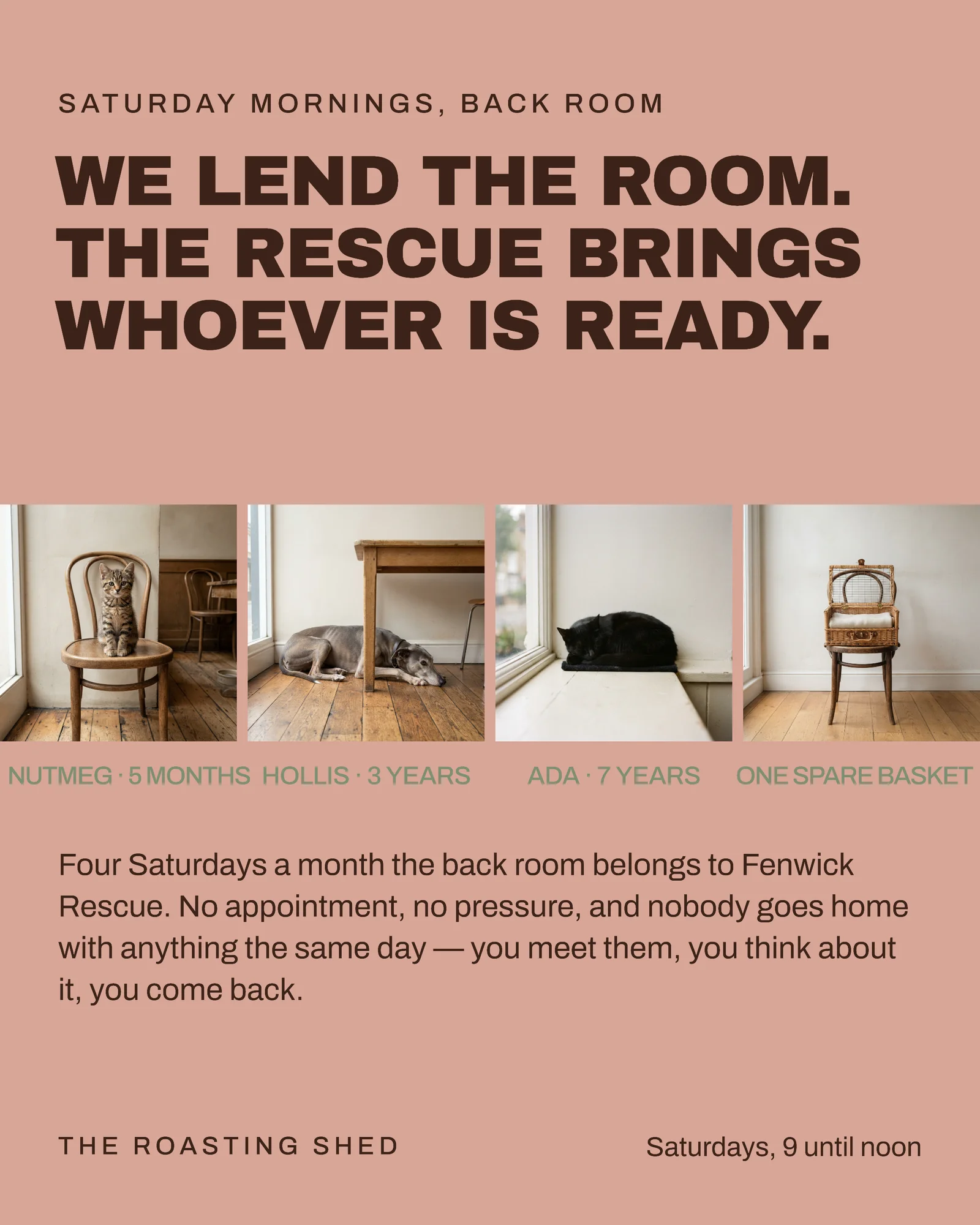 Clay Sage Four Frame Filmstrip Cafe Back Room Saturdays Facebook Post — 4:5 Facebook post template