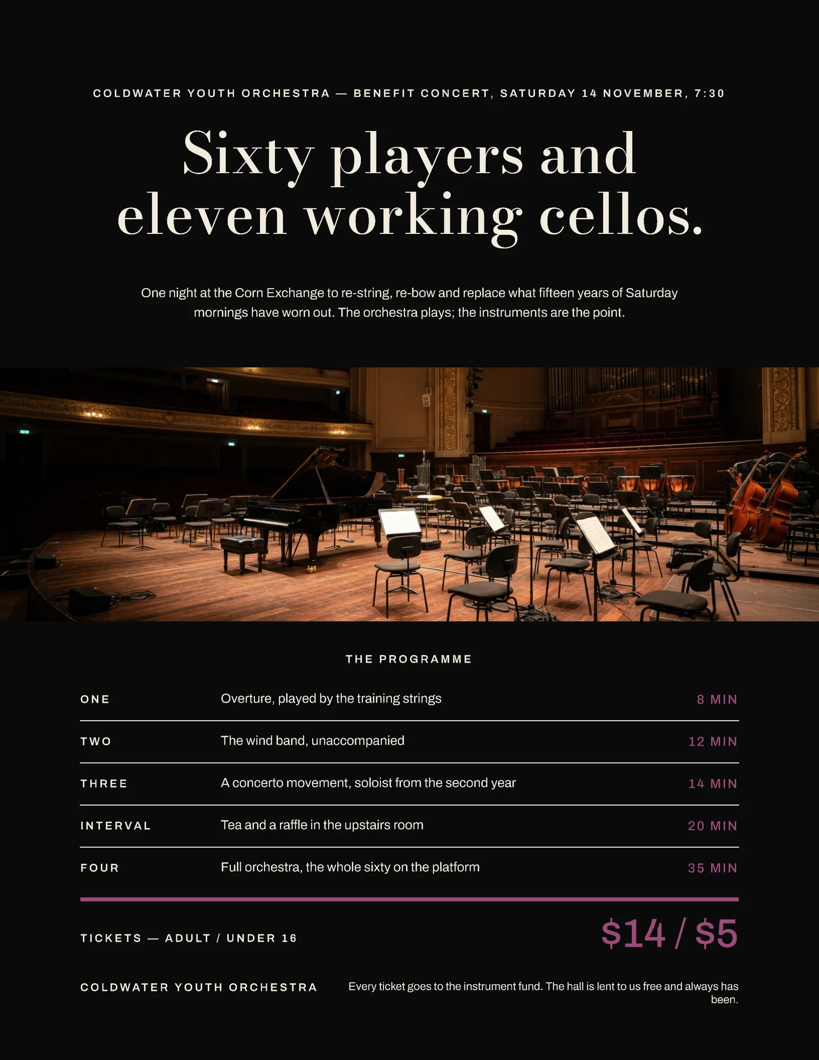 Near Black Plum Photo Band Youth Orchestra Benefit Flyer — Letter Flyer template
