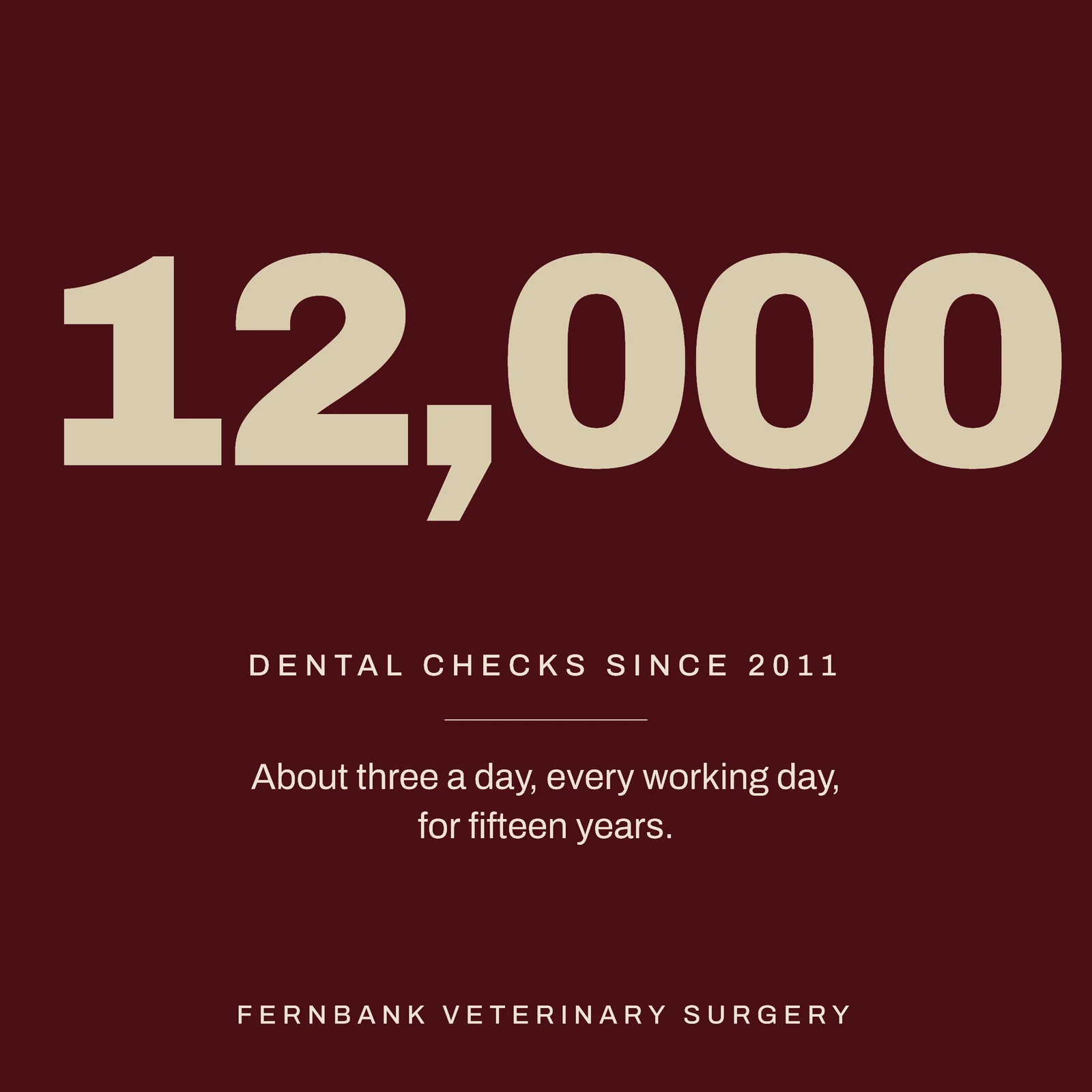 Oxblood Oat Milestone Numeral Veterinary Dental Checks Instagram Post — 1:1 Instagram post template