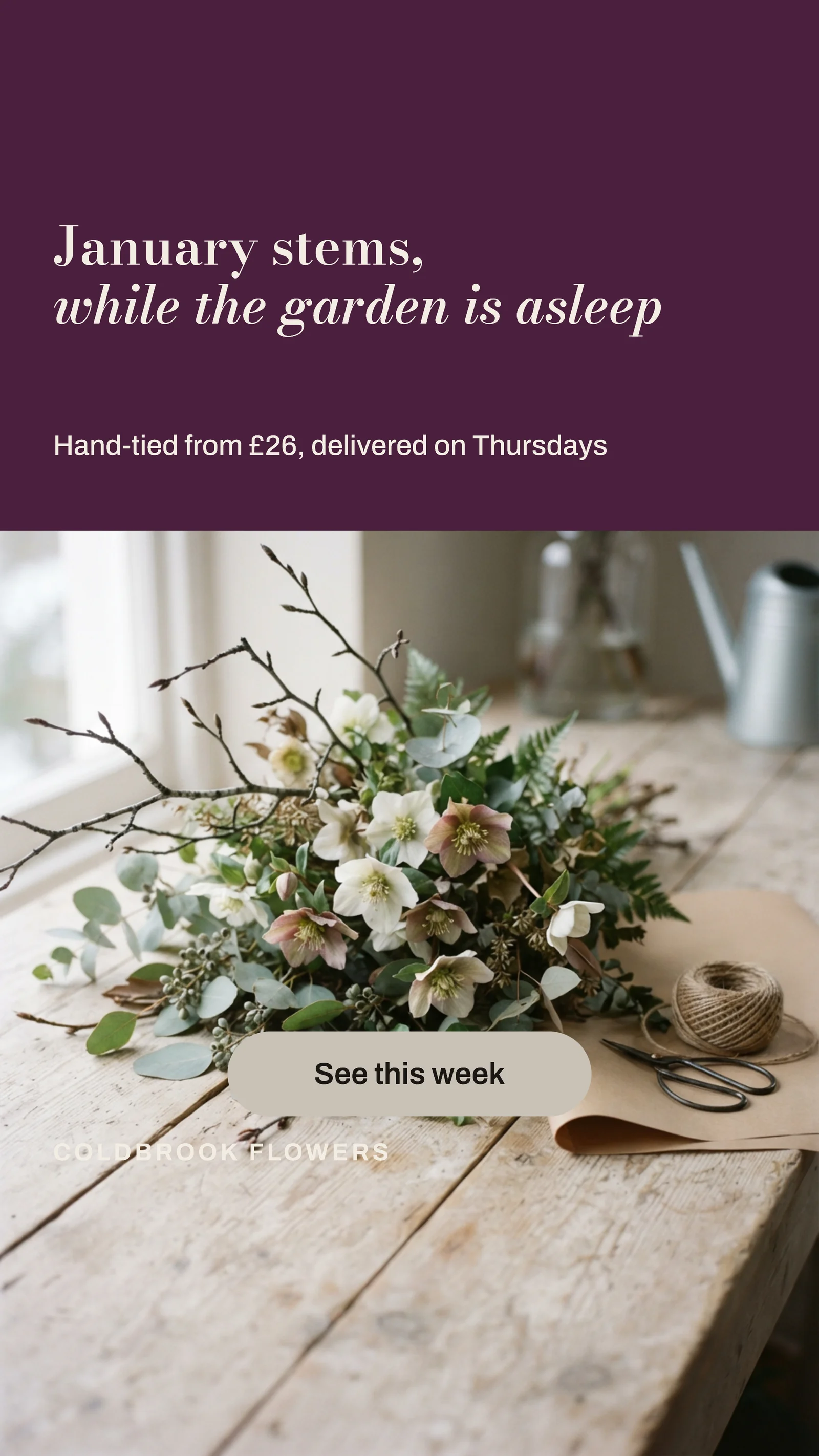 January Stems Florist Instagram Story — 9:16 Instagram story template