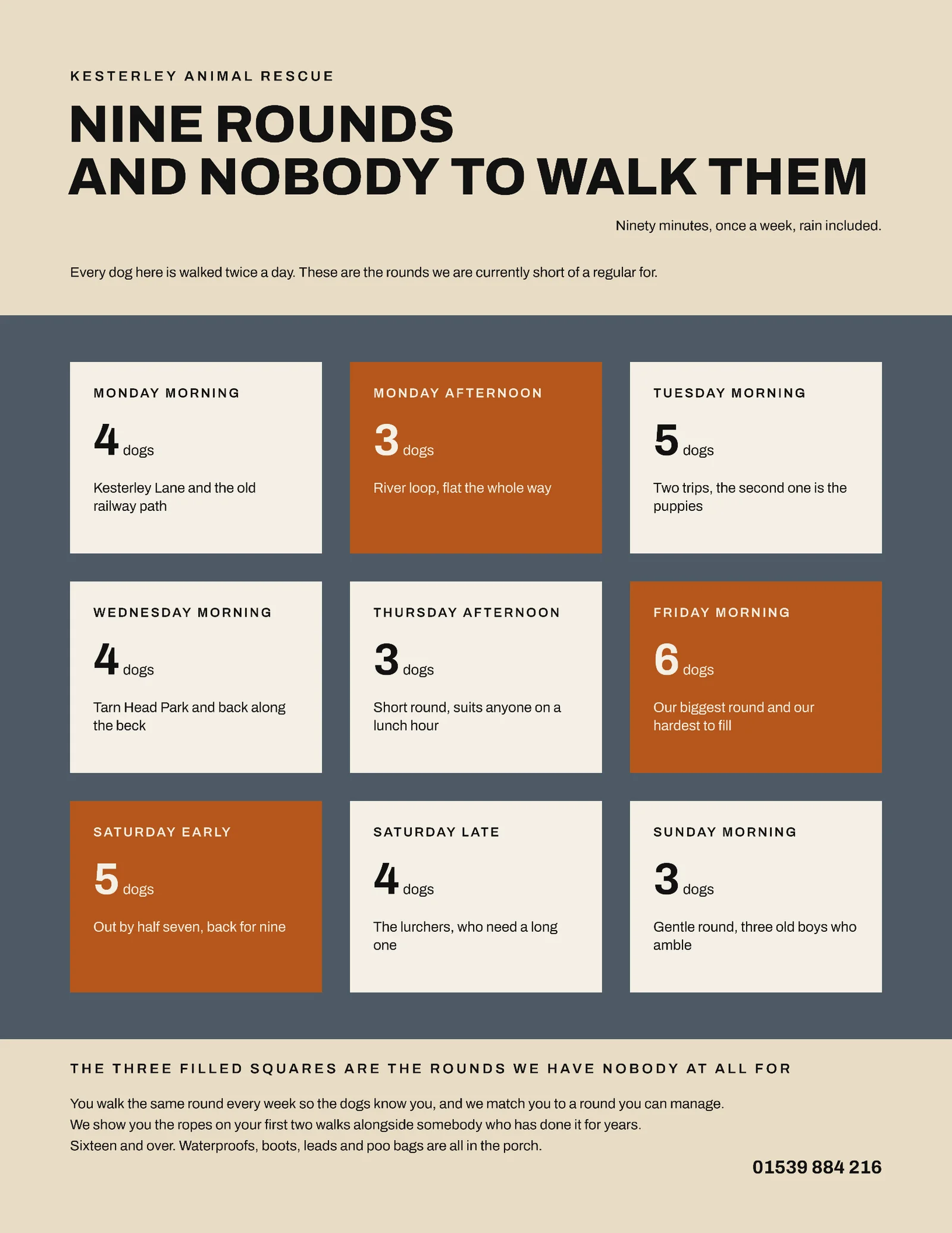 Oat Slate Amber Plate Grid Animal Rescue Walking Rounds Flyer — Letter Flyer template