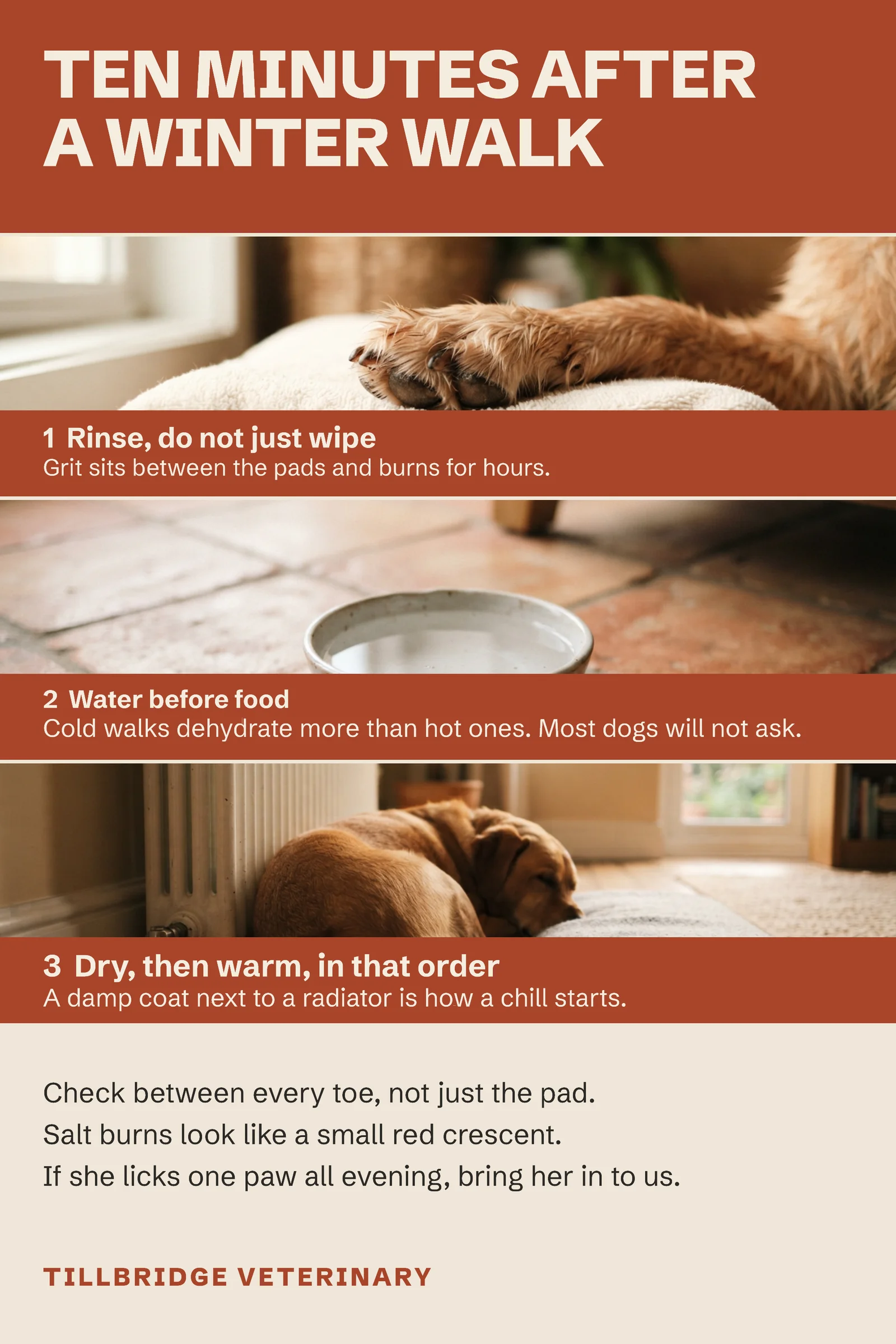 Ten Minutes After a Winter Walk Pinterest Pin — 2:3 Pinterest pin template