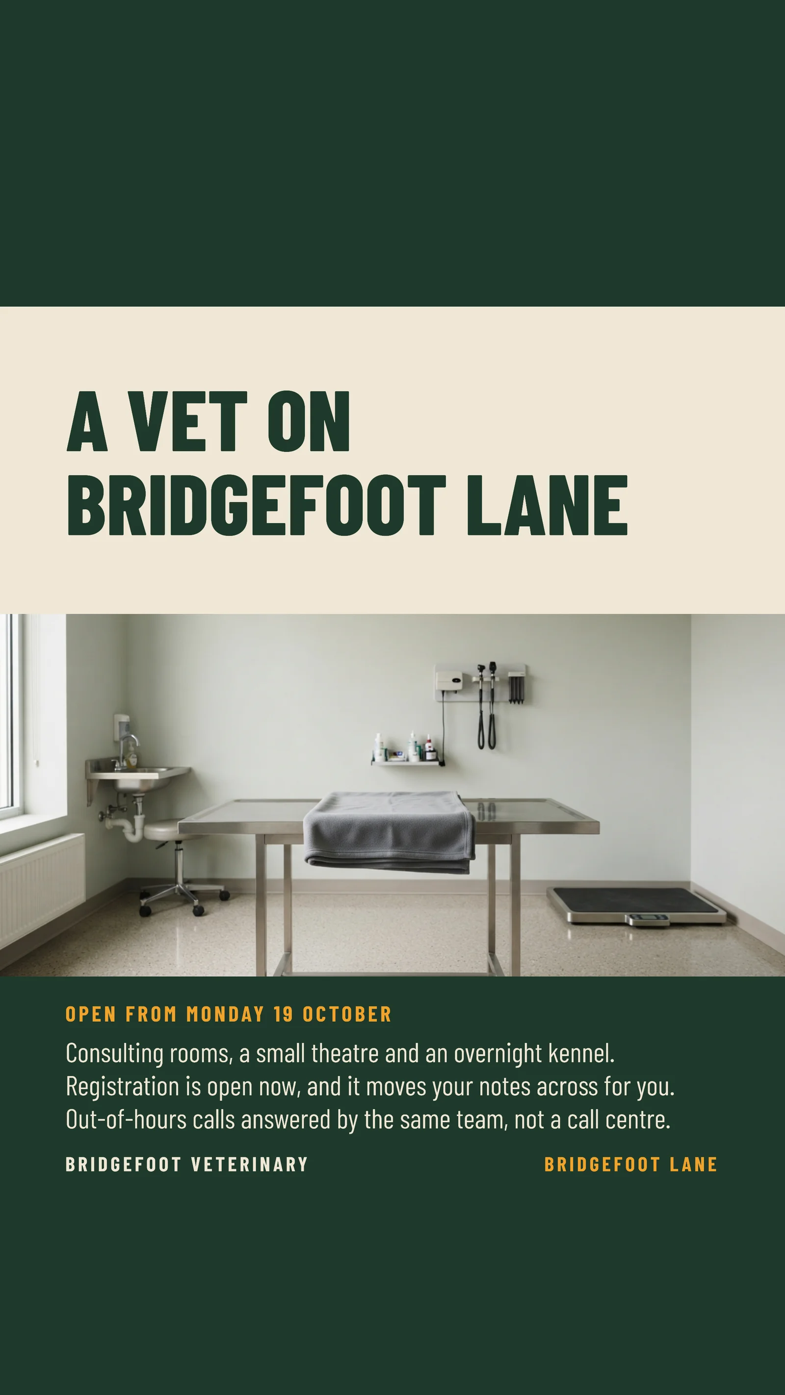 Colour Block Veterinary Clinic Opening Instagram Story — 9:16 Instagram story template