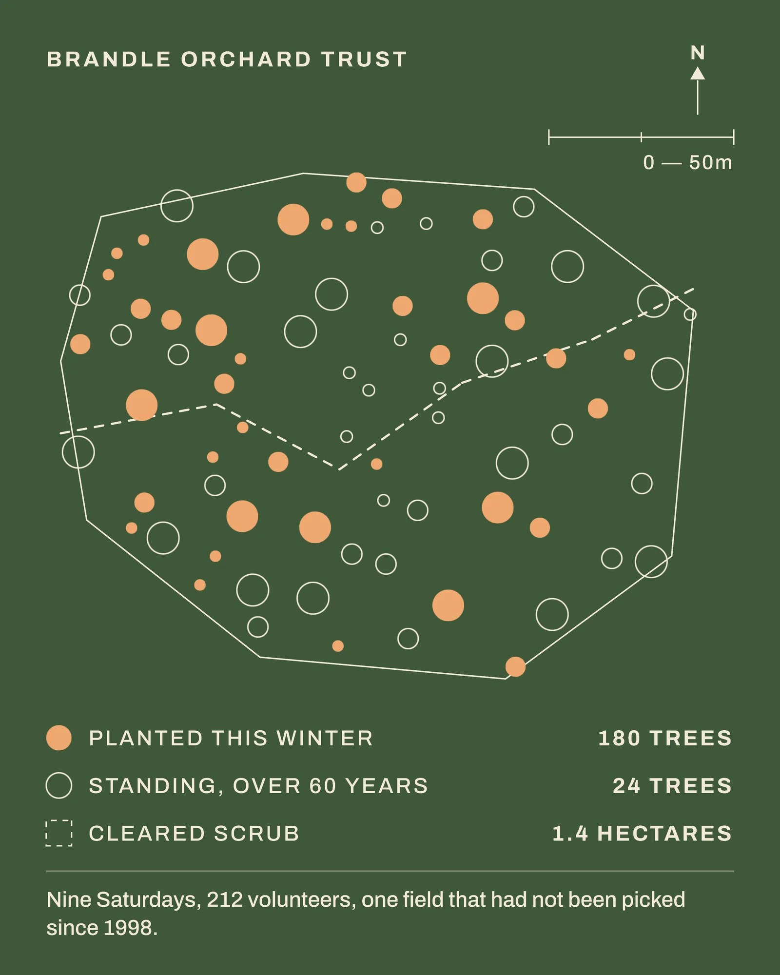 Orchard Restoration Site Plan LinkedIn Post — 4:5 LinkedIn post template