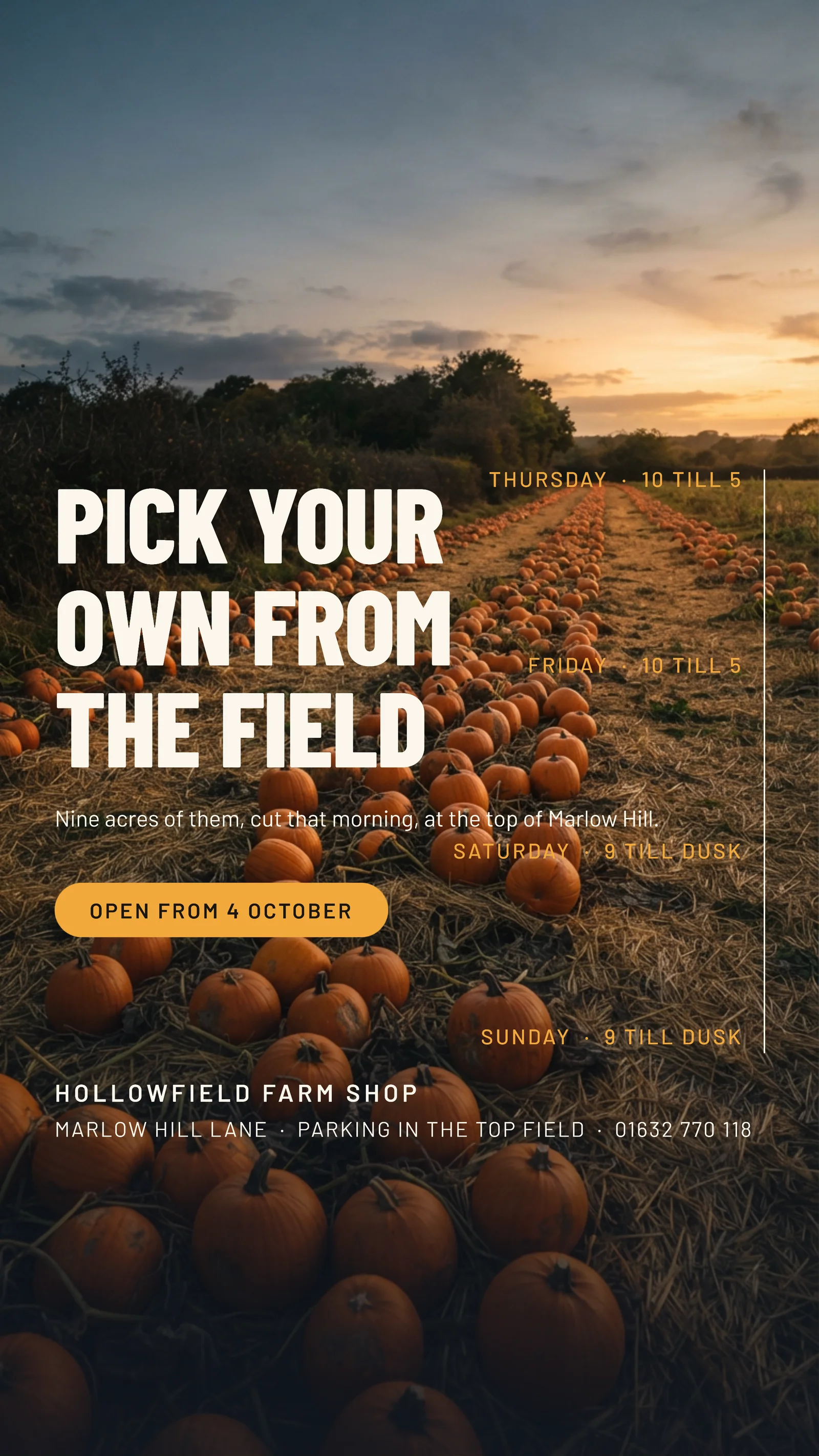 Dusk Field Gate Farm Shop Pumpkin Field Facebook Story — 9:16 Facebook story template