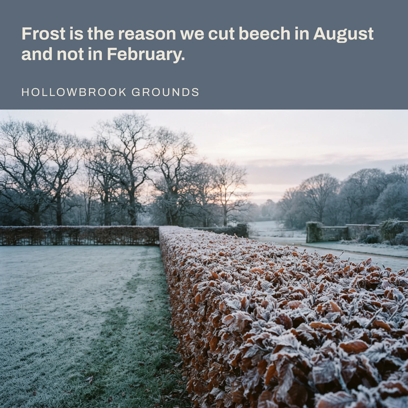 Frosted Hedges Grounds Maintenance Instagram Post — 1:1 Instagram post template