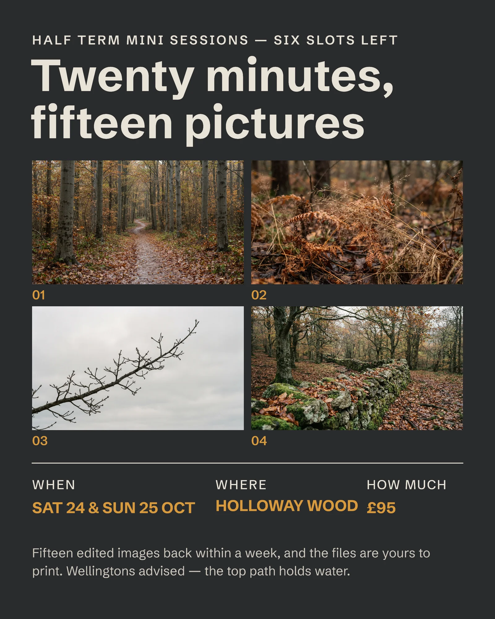 Photographer Contact Sheet Mini Sessions Instagram Ad — 4:5 Instagram ad template