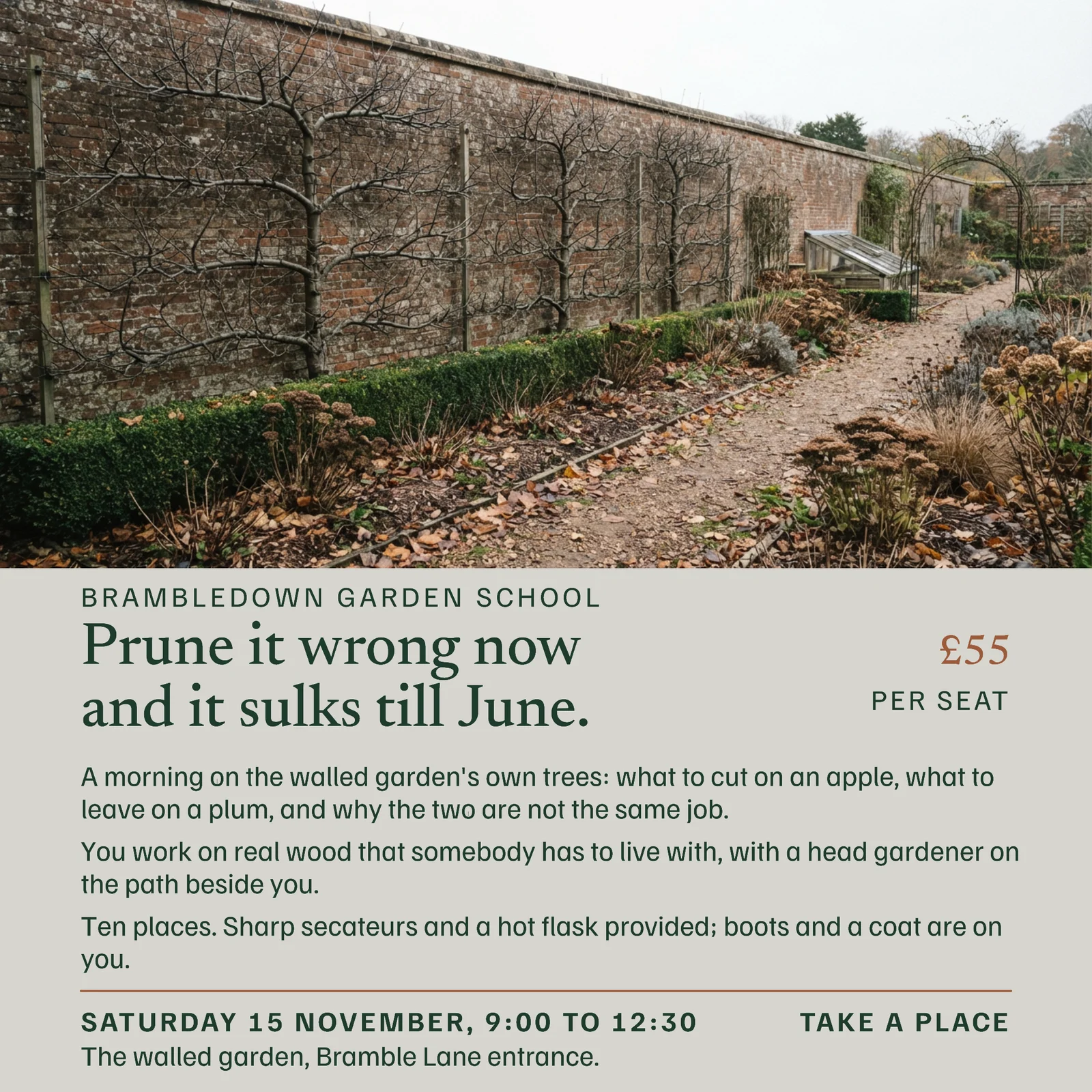 Stone Pine Horizon Split Garden School Pruning Workshop Instagram Ad — 1:1 Instagram ad template