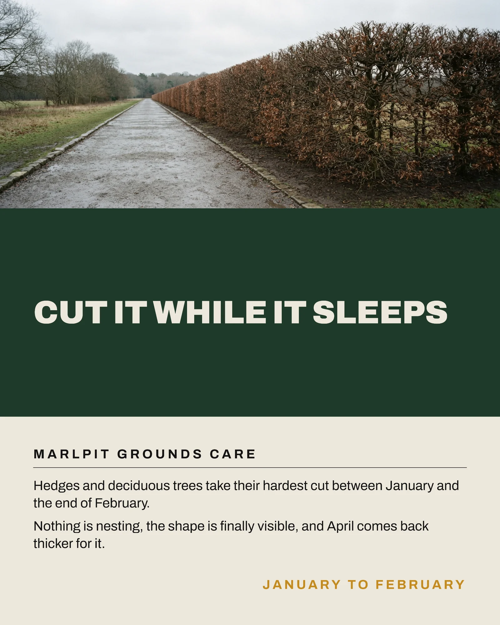 Bone Evergreen Three Band Grounds Care January Work Instagram Carousel — 4-panel Instagram carousel carousel template, page 1 of 4