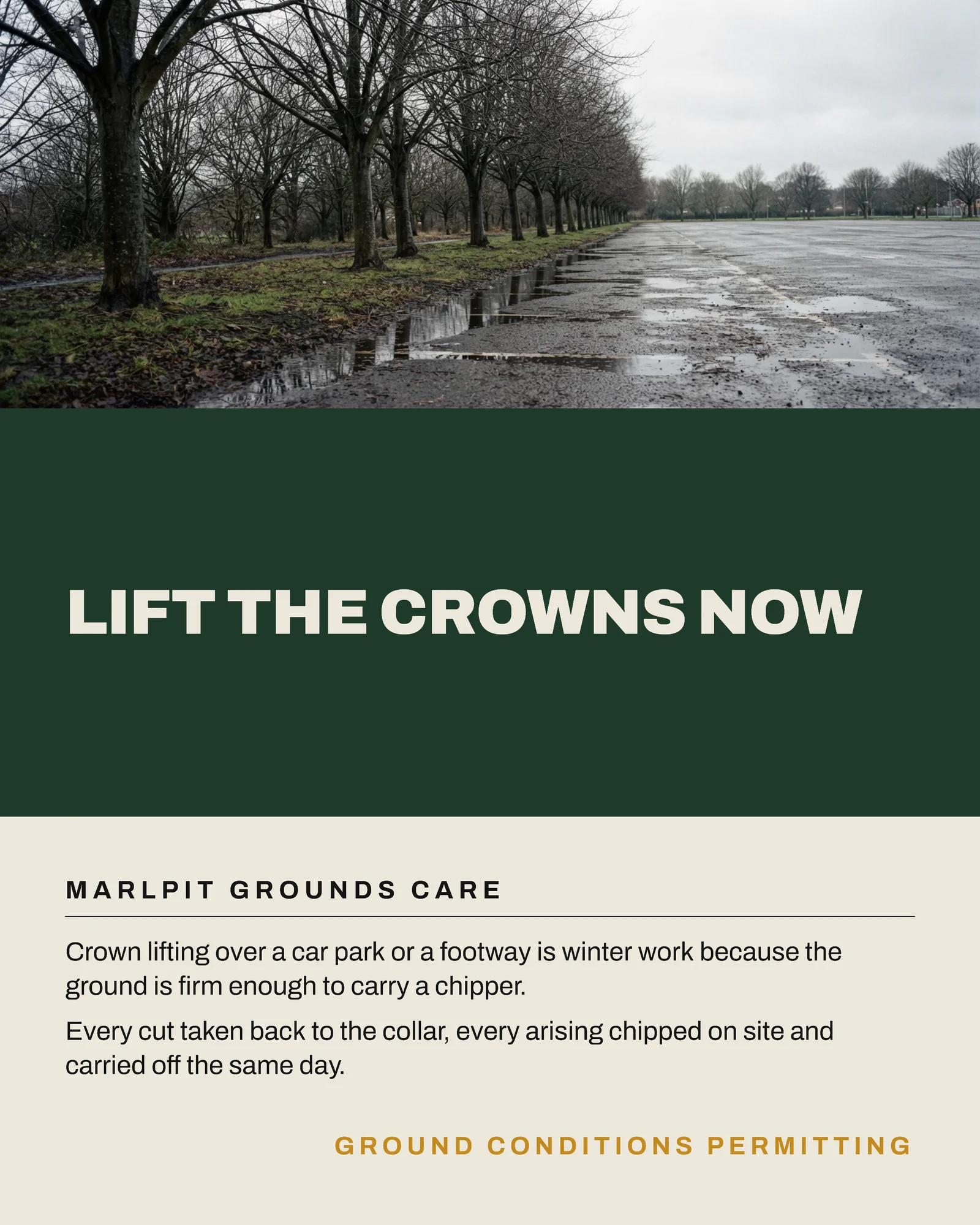 Bone Evergreen Three Band Grounds Care January Work Instagram Carousel — 4-panel Instagram carousel carousel template, page 2 of 4