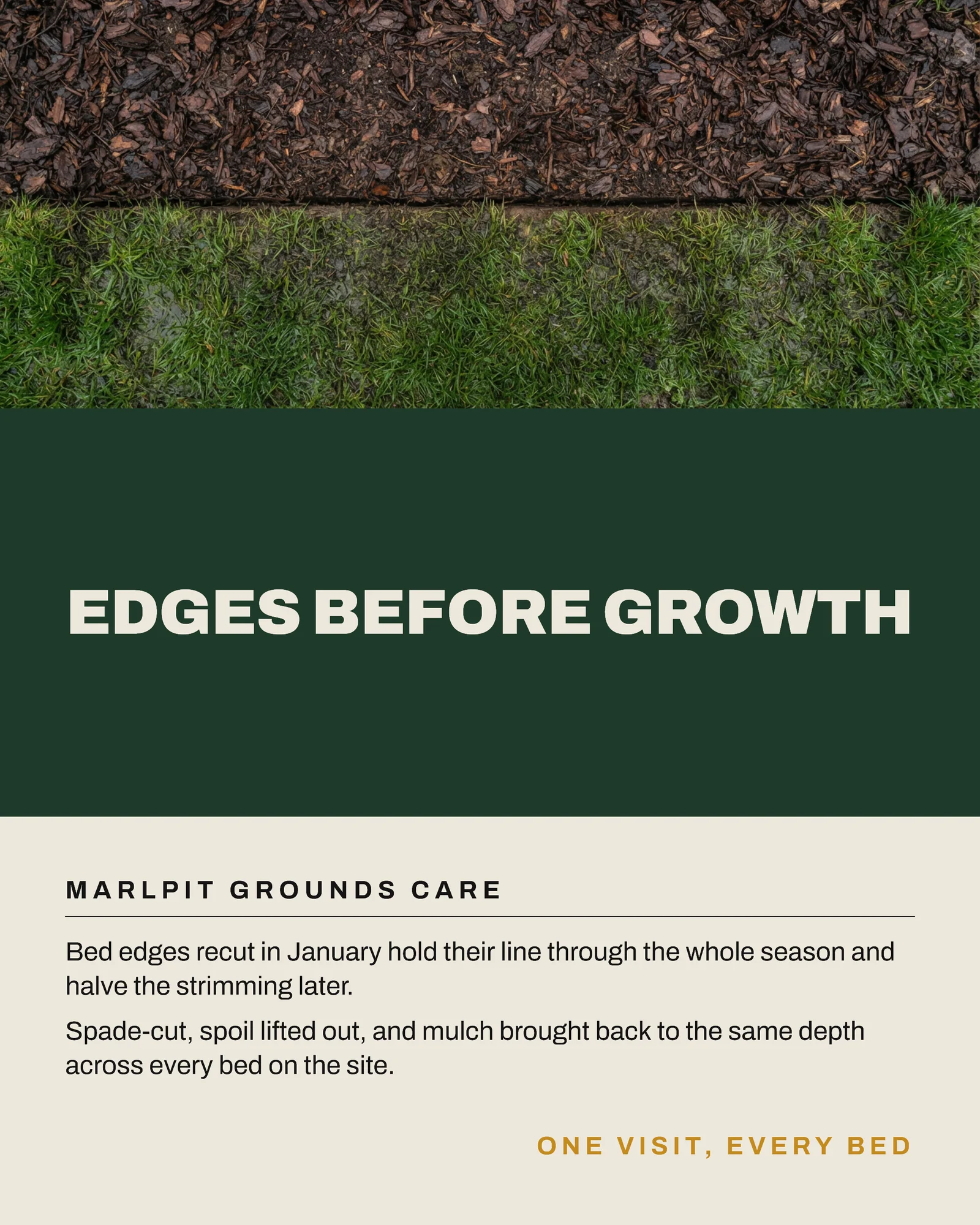 Bone Evergreen Three Band Grounds Care January Work Instagram Carousel — 4-panel Instagram carousel carousel template, page 3 of 4