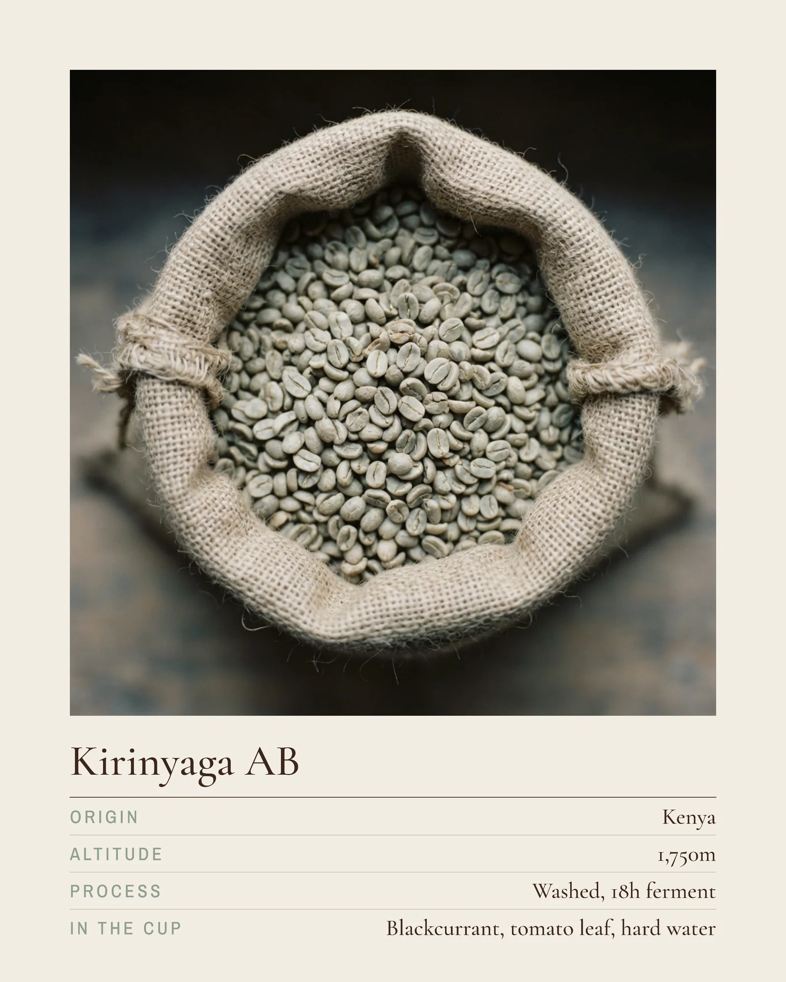 Coffee Roastery Origin Spec Plates Facebook Carousel — 5-panel Instagram carousel carousel template, page 2 of 5