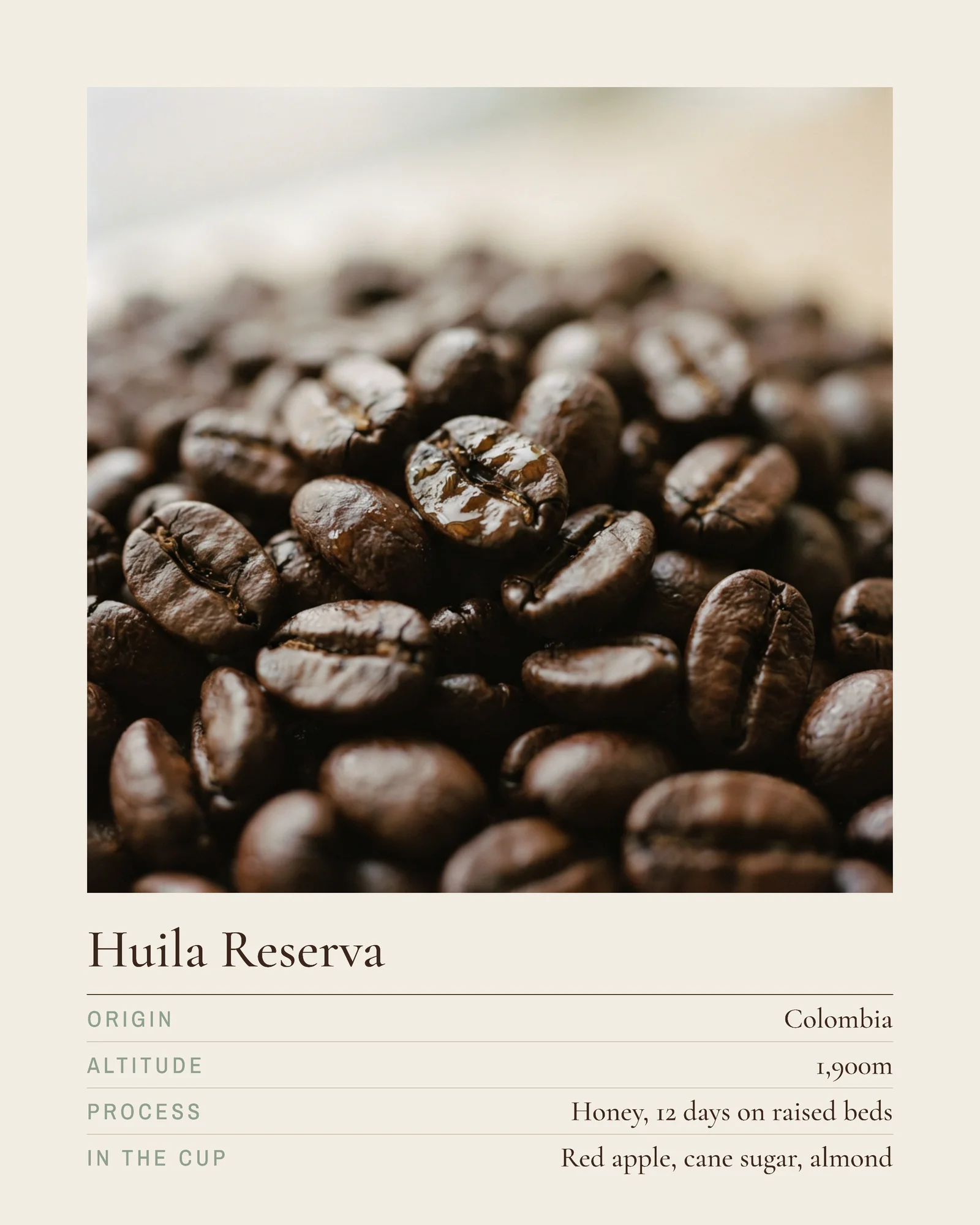 Coffee Roastery Origin Spec Plates Facebook Carousel — 5-panel Instagram carousel carousel template, page 3 of 5