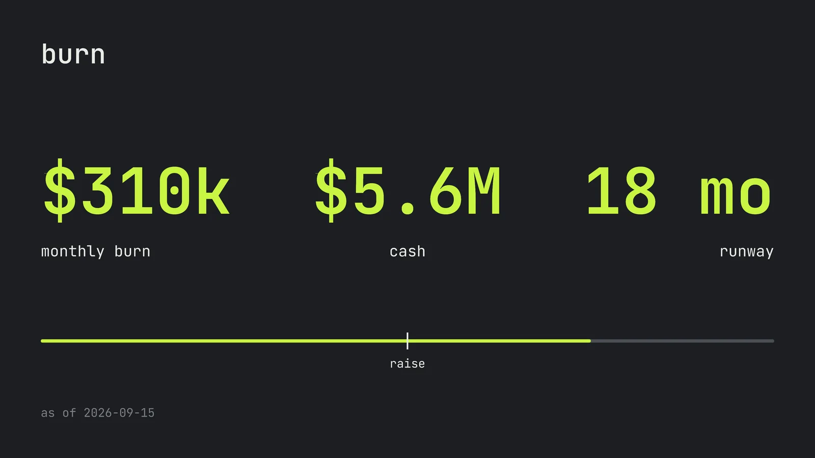 Burn And Runway Budget Slide — 16:9 Slide template