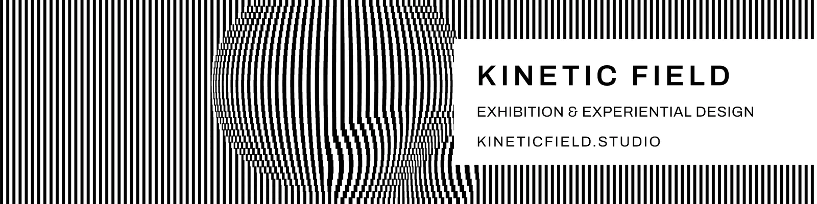 Op art line field banner — 4:1 LinkedIn banner template