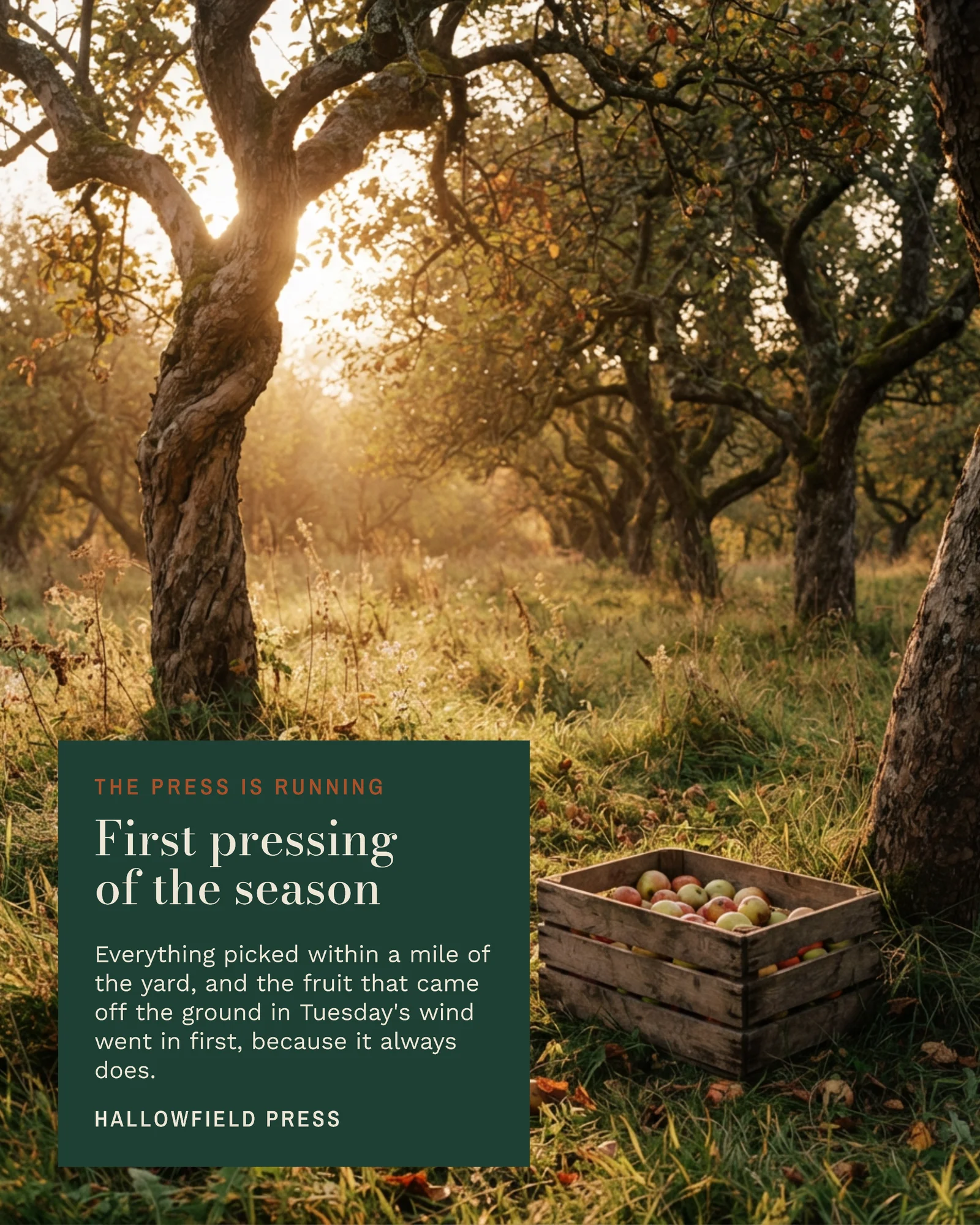 Bottle Green Full Bleed Cider Press Instagram Post — 4:5 Instagram post template