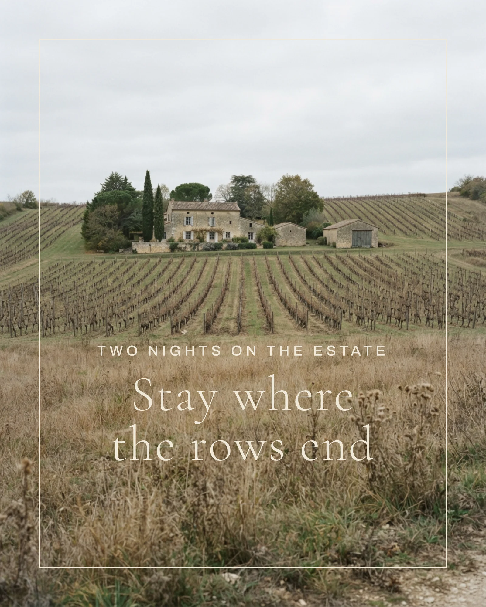 Vineyard Stay Short Breaks Instagram Carousel — 5-panel Instagram carousel carousel template, page 1 of 5