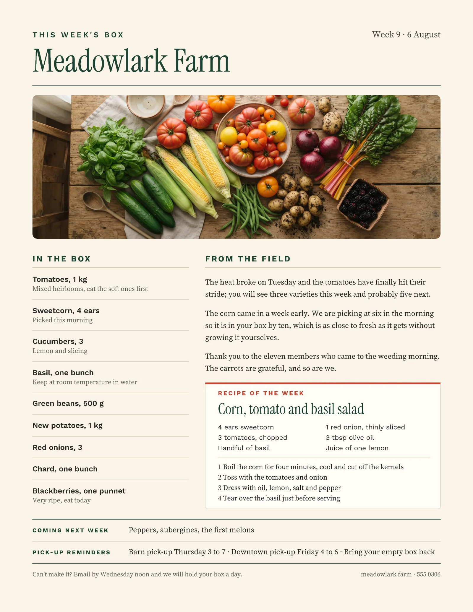 Newsletter Warm CSA Weekly Box — Letter One pager template