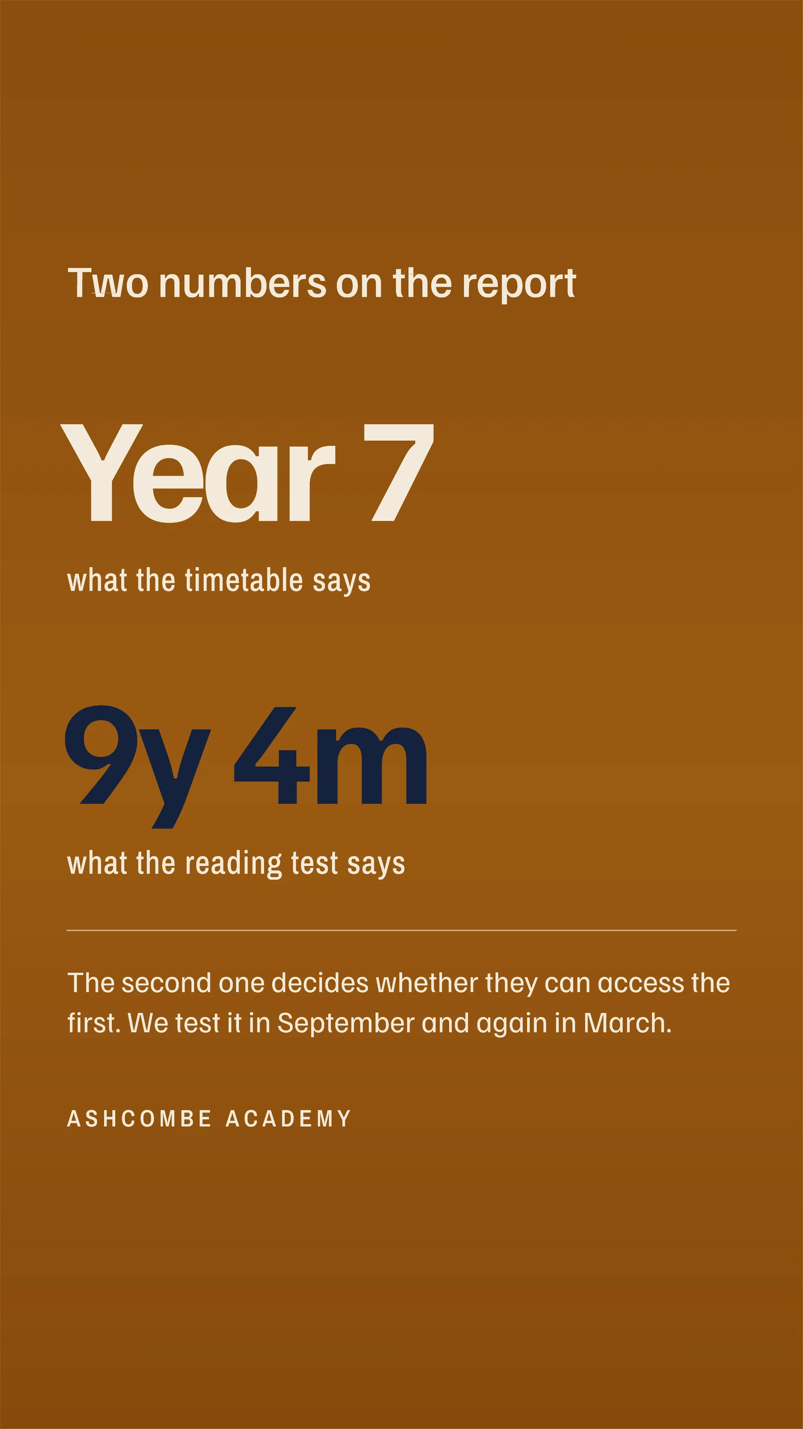 Reading Age Not Year Group Facebook Story — 9:16 Facebook story template