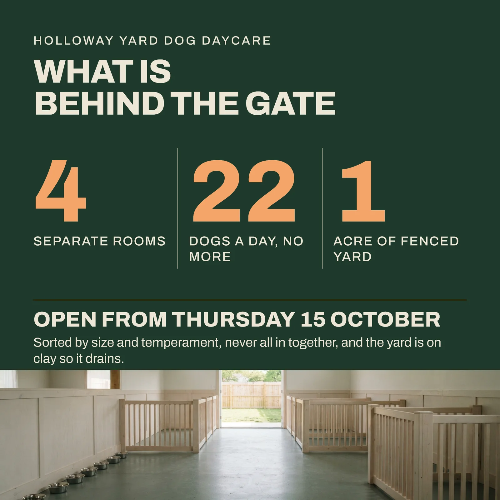 Forest Apricot Three Numerals Dog Daycare Grand Opening Instagram Post — 1:1 Instagram post template