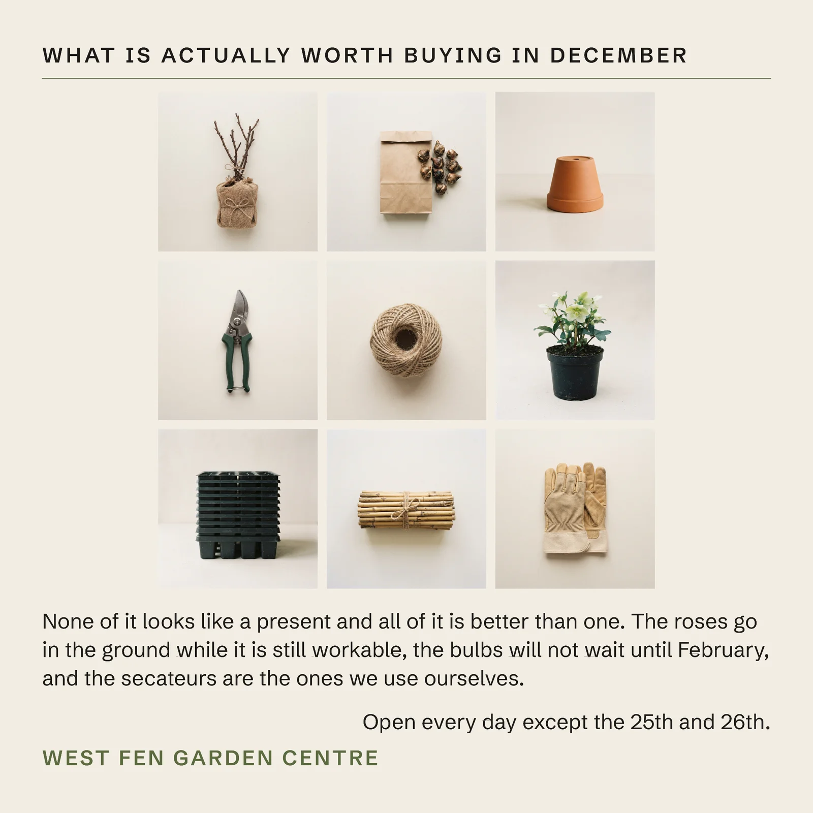 Bone Nine Cell Grid Garden Centre December Christmas Instagram Post — 1:1 Instagram post template