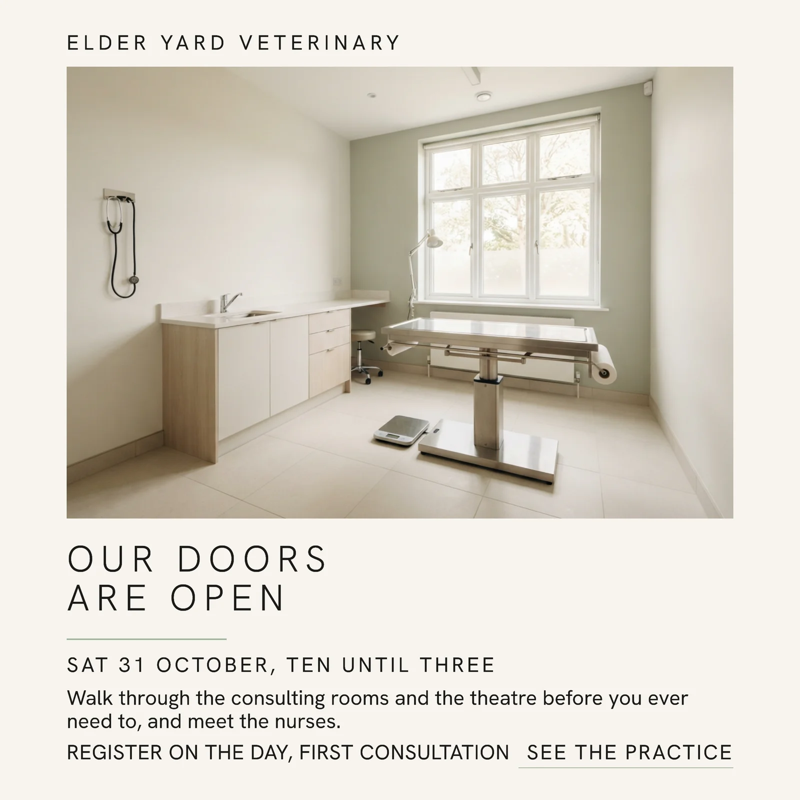 White Sage Margin Inset Veterinary Practice Open Day Instagram Ad — 1:1 Instagram ad template
