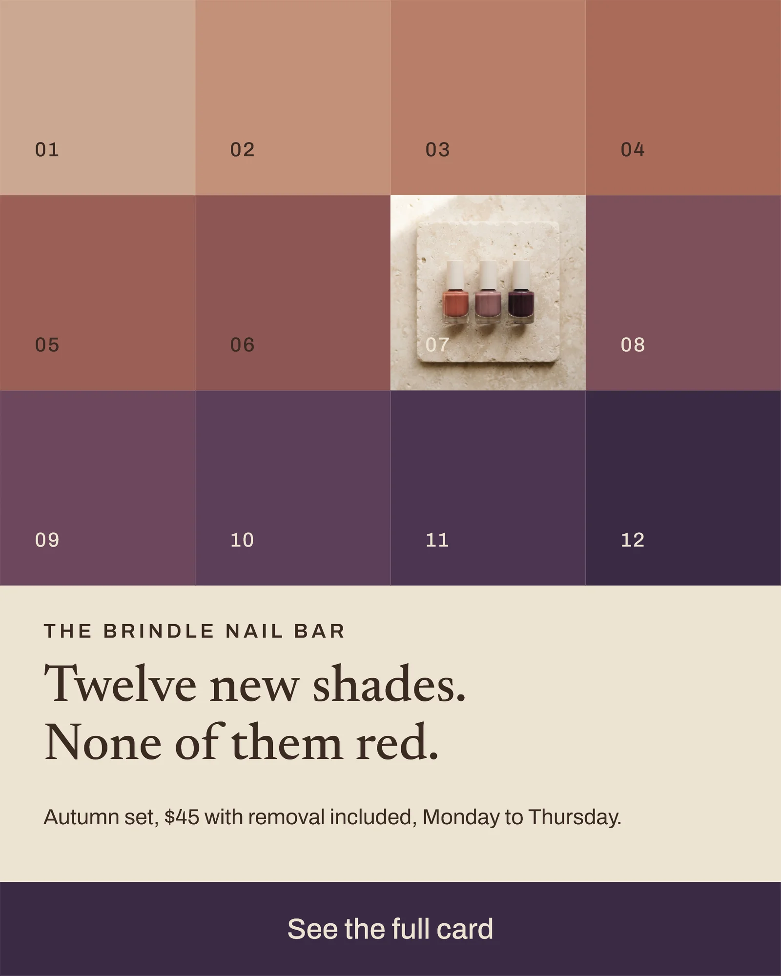 Clay Swatch Grid Nail Bar Autumn Set Facebook Ad — 4:5 Facebook ad template