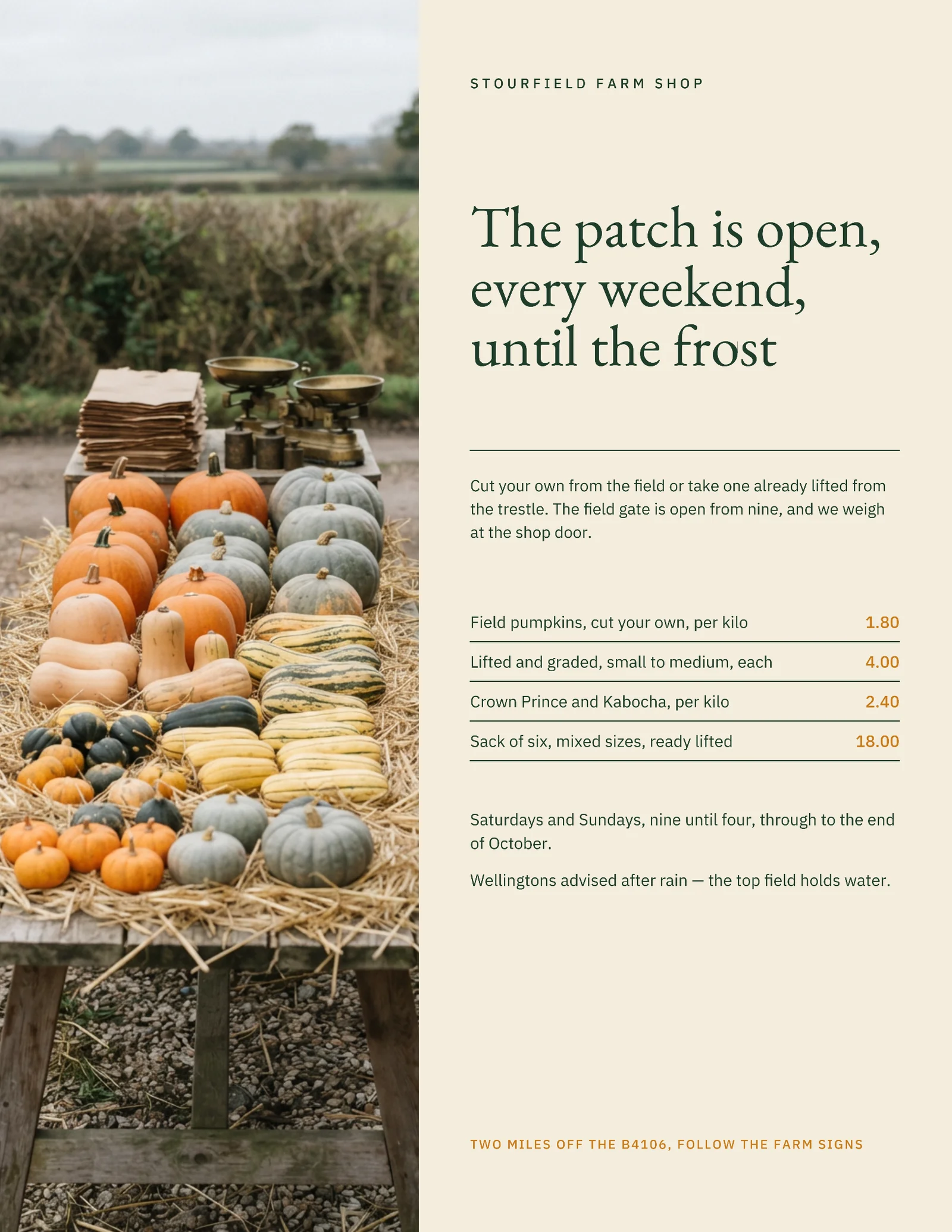 Forest Split Column Pumpkin Patch Weekends Flyer — Letter Flyer template