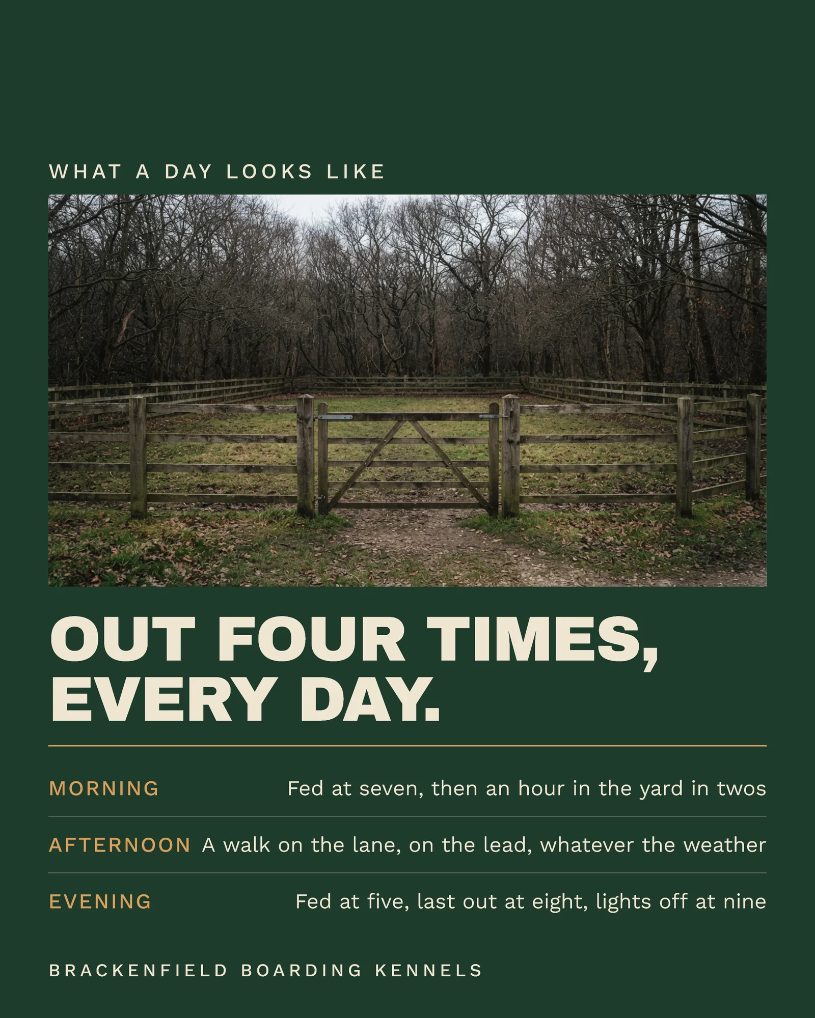 Forest Framed Plates Boarding Kennels Thanksgiving Travel Week Instagram Carousel — 5-panel Instagram carousel carousel template, page 3 of 5