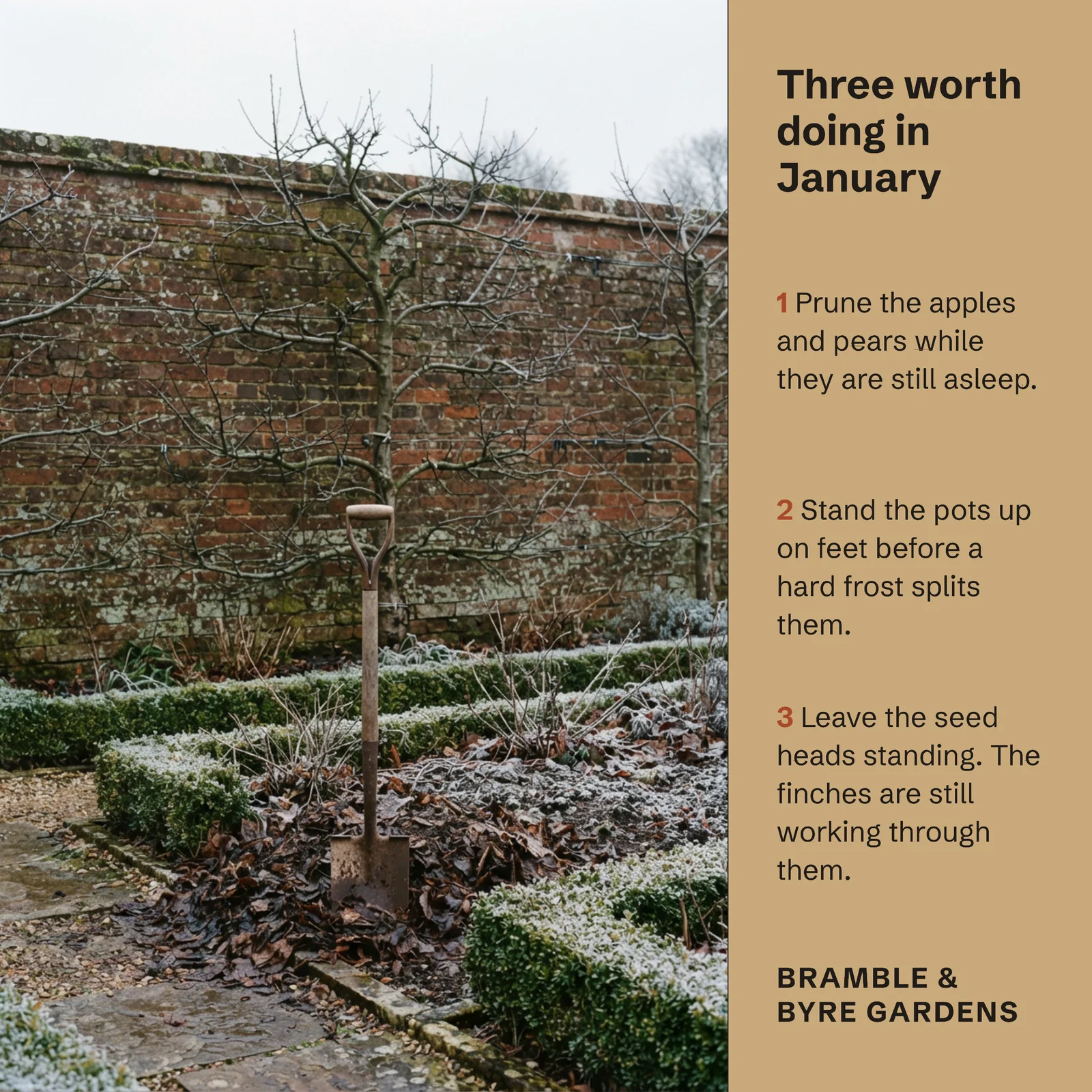 January Garden Jobs Landscaping Instagram Post — 1:1 Instagram post template