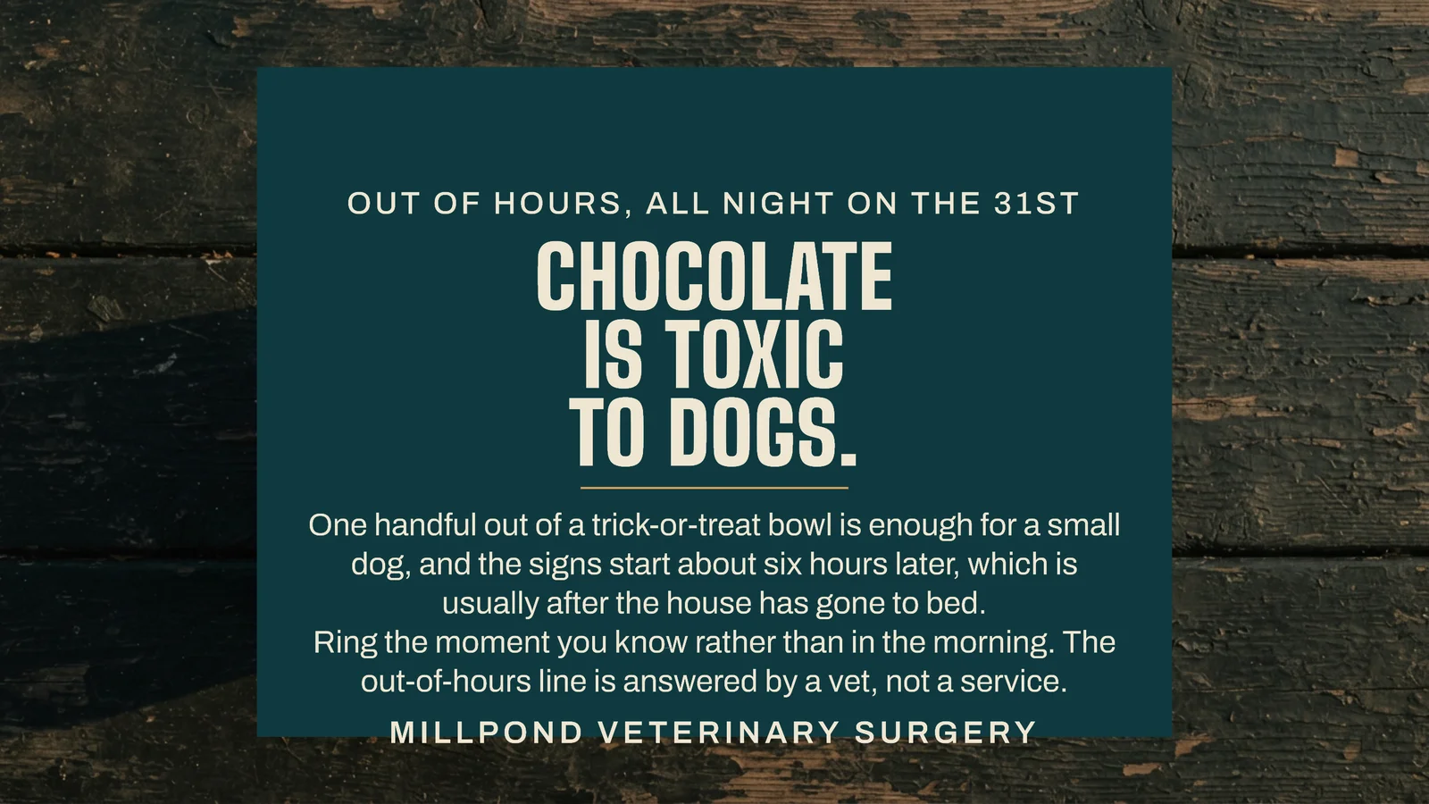 Teal Centre Plate Veterinary Halloween Chocolate Line YouTube Ad — 16:9 YouTube ad template