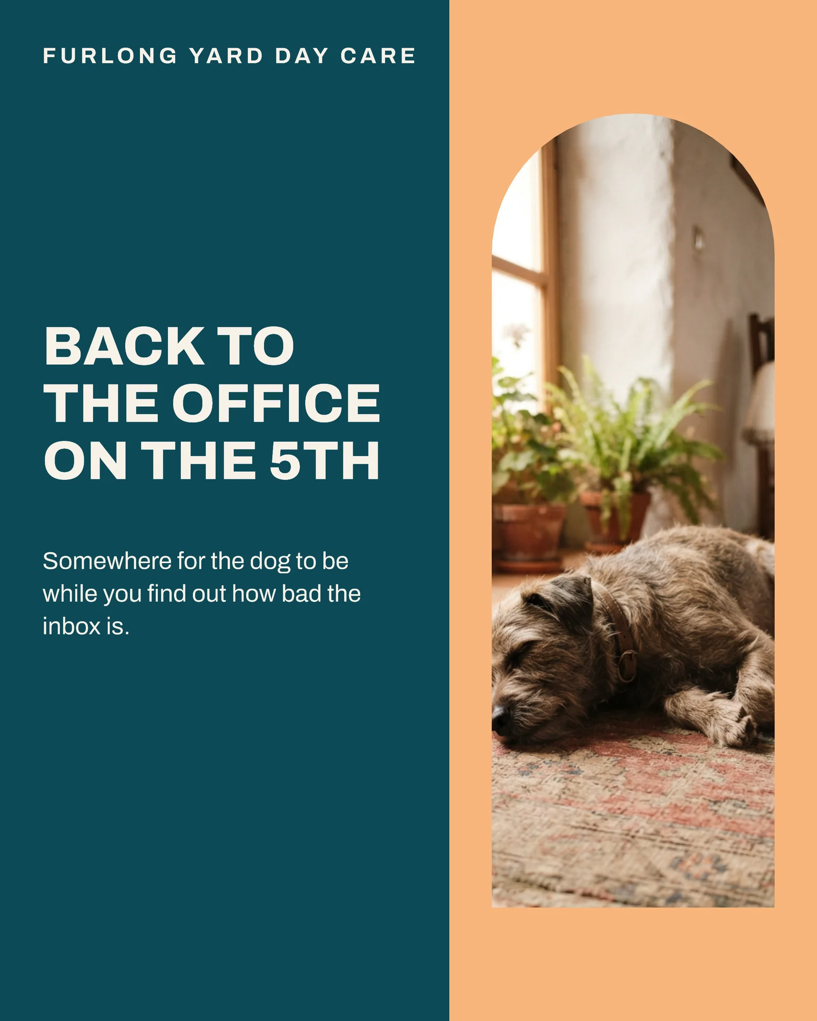 Teal Apricot Arch Aperture Dog Daycare January Places Facebook Carousel — 4-panel Facebook carousel carousel template, page 1 of 4