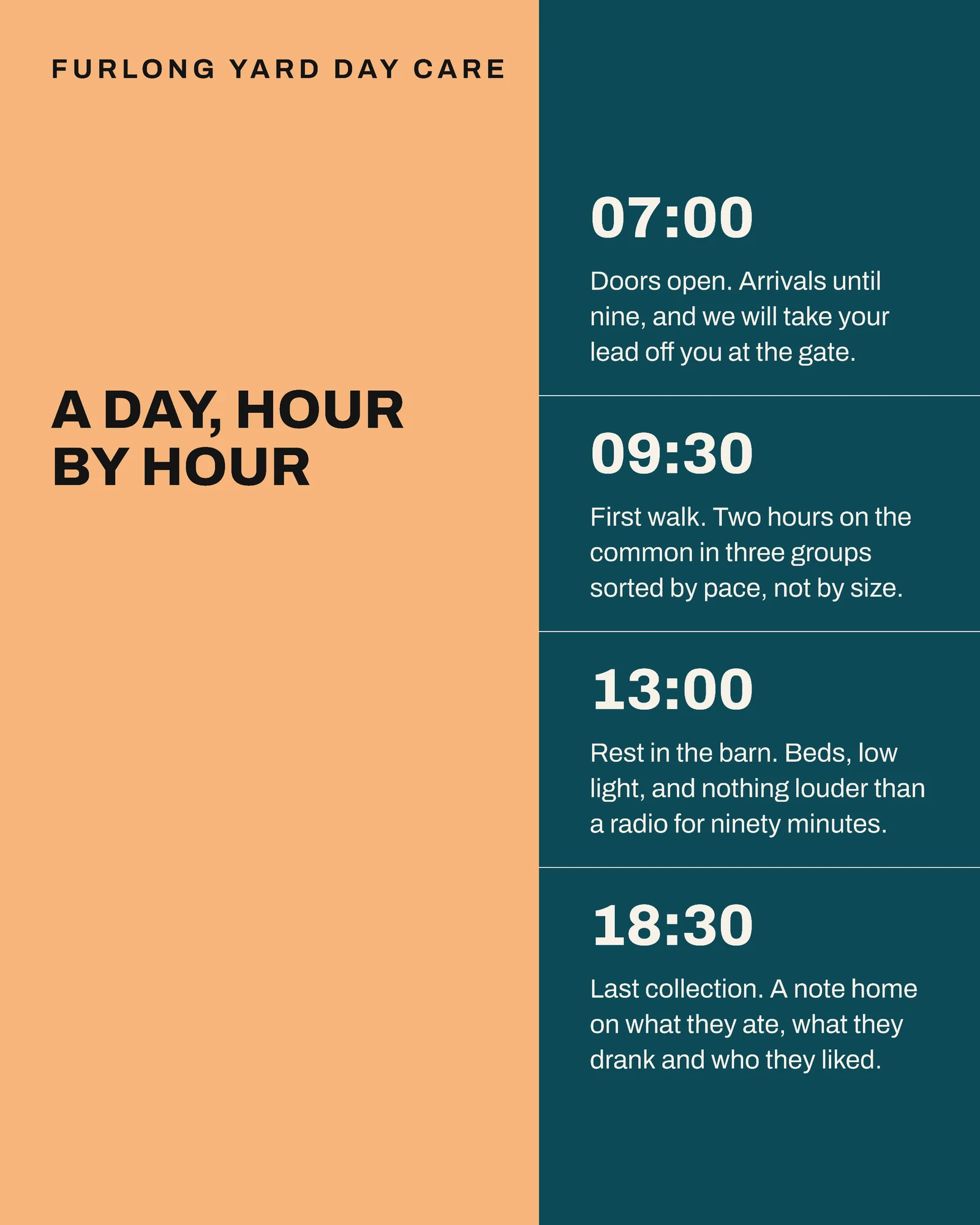 Teal Apricot Arch Aperture Dog Daycare January Places Facebook Carousel — 4-panel Facebook carousel carousel template, page 2 of 4
